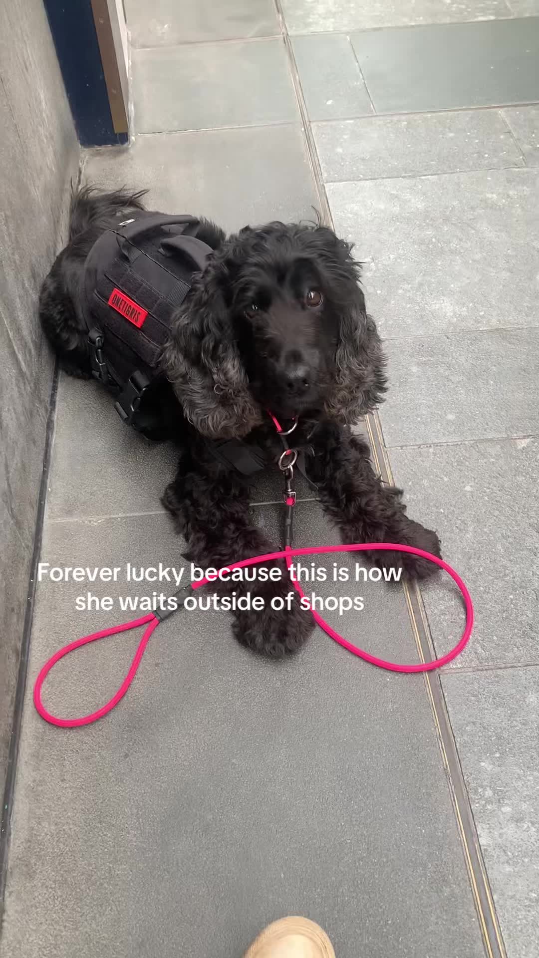 @✨ Soph <3 🏴󠁧󠁢󠁷󠁬󠁳󠁿