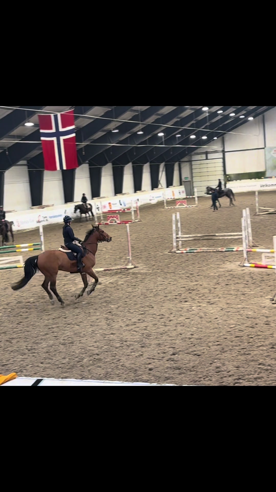 @hedda.equi