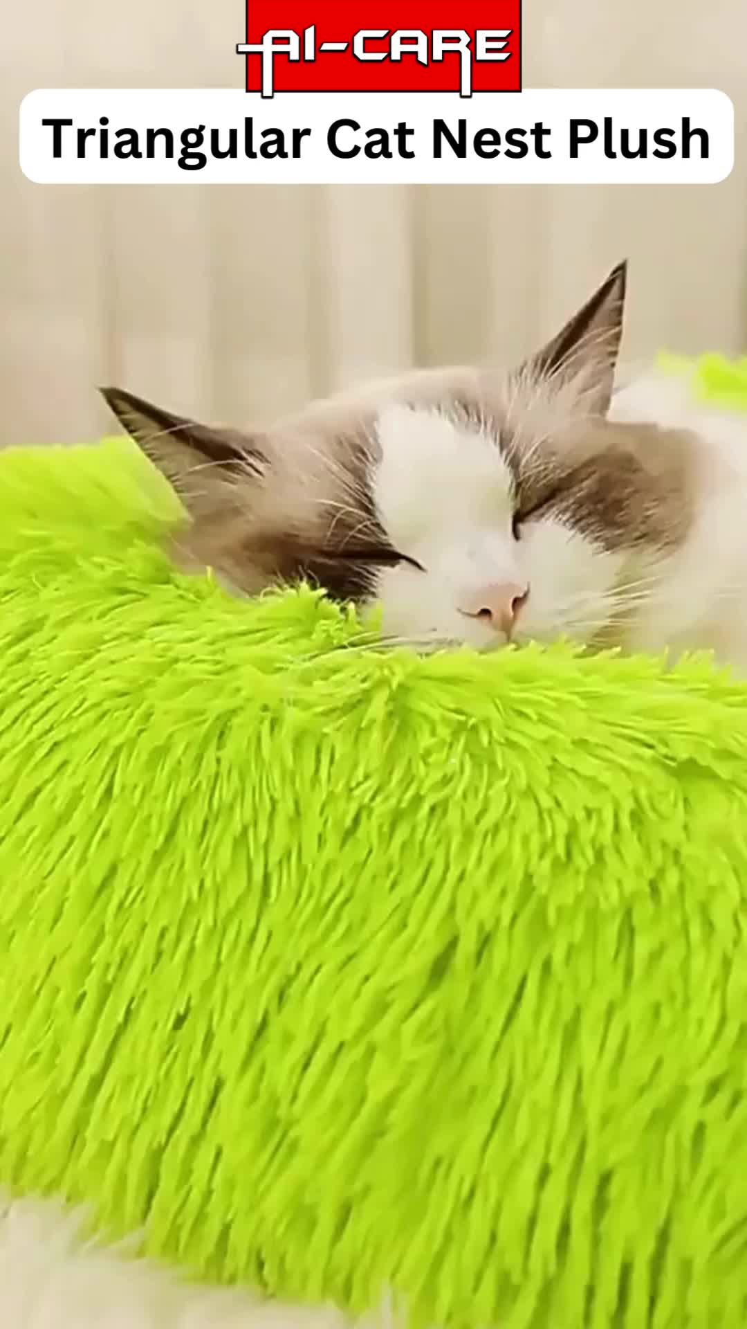 @Aicare Pet Studio