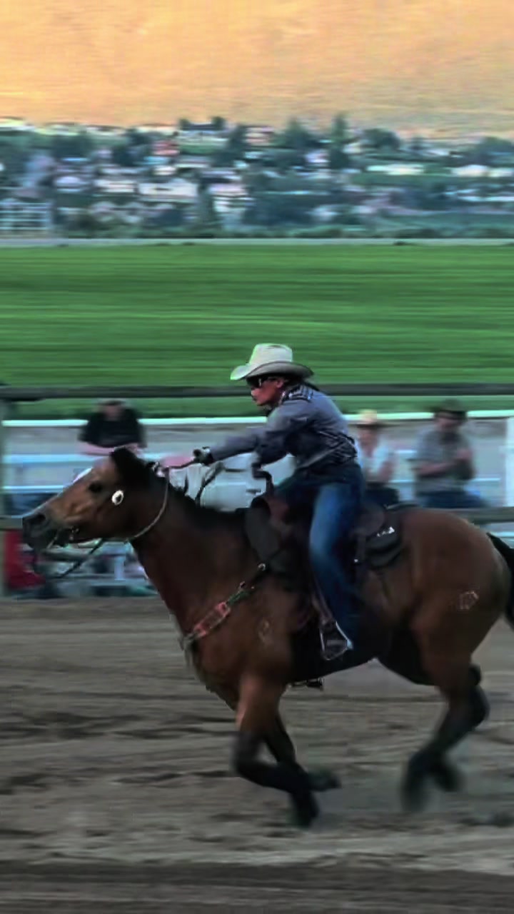 @Diamond W Barrel Horses 🇨🇦
