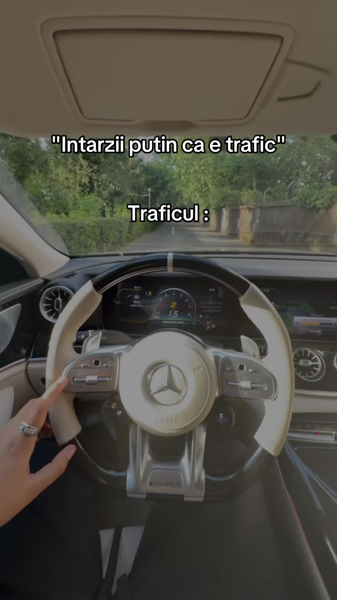 @Theodor Andrei