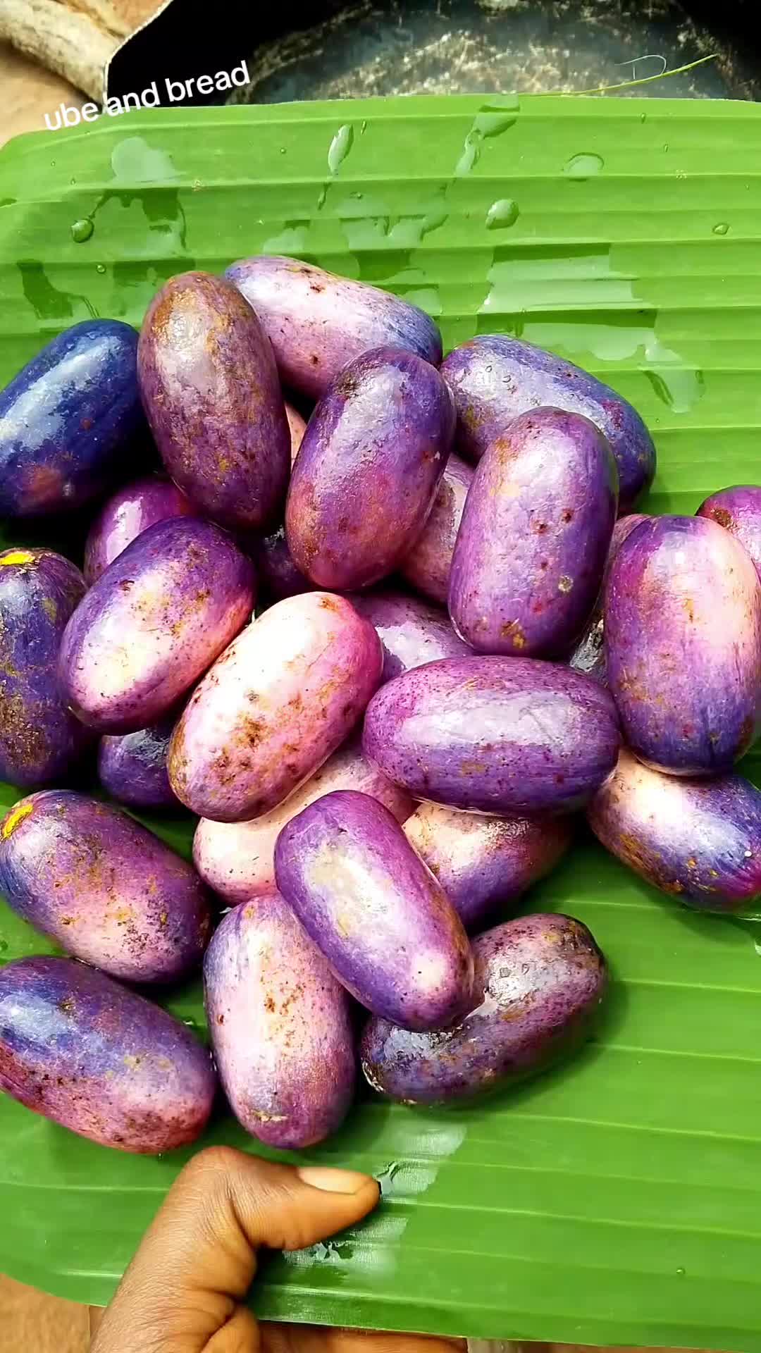 @Natureamanda