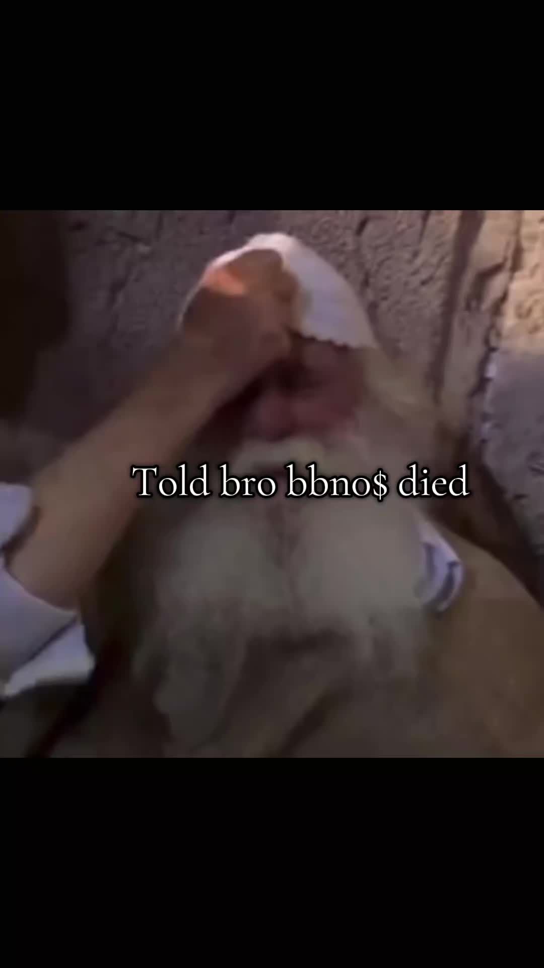 @|Johnathan&brvbar; 🕷️👁️🐑