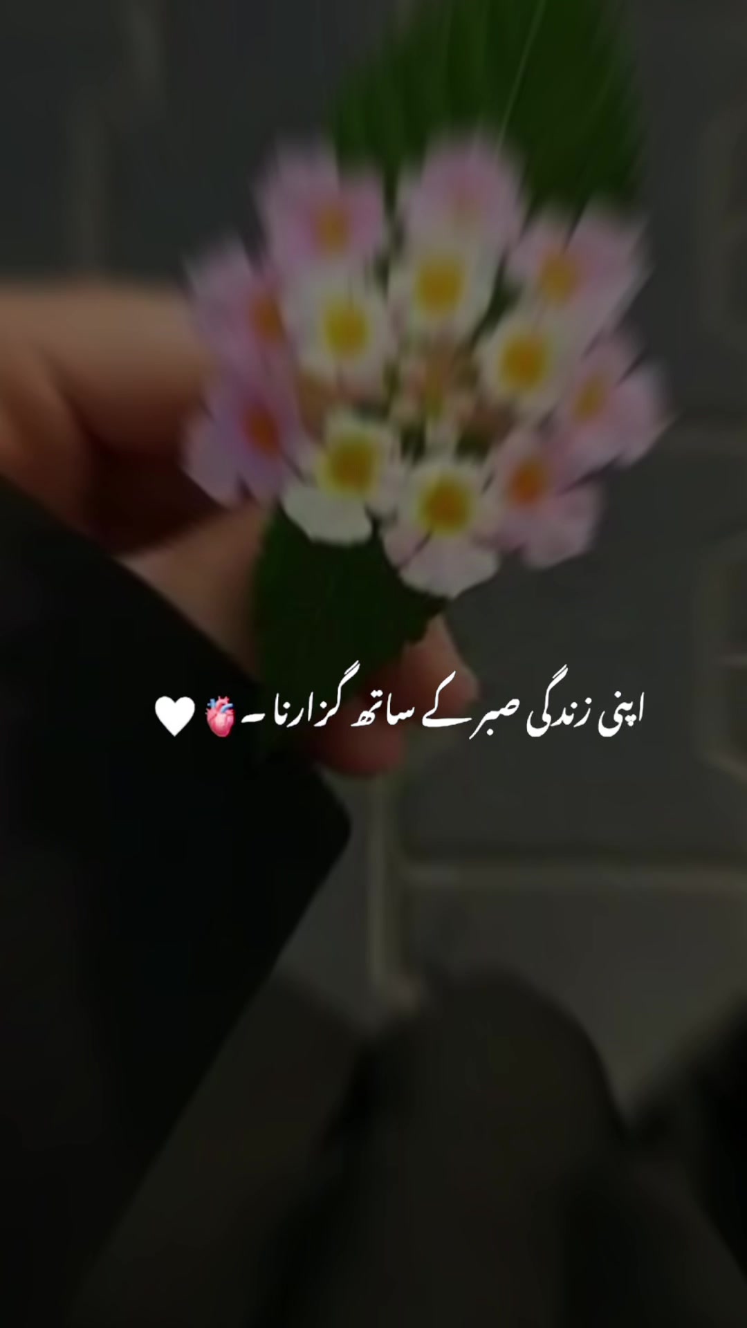 @Nisba786💗🇬🇧🇵🇰