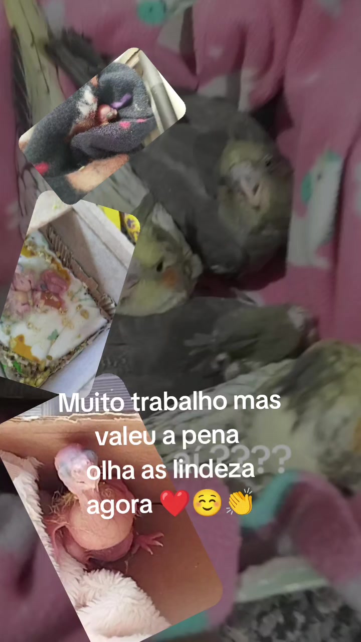 @antonia.modaféshop