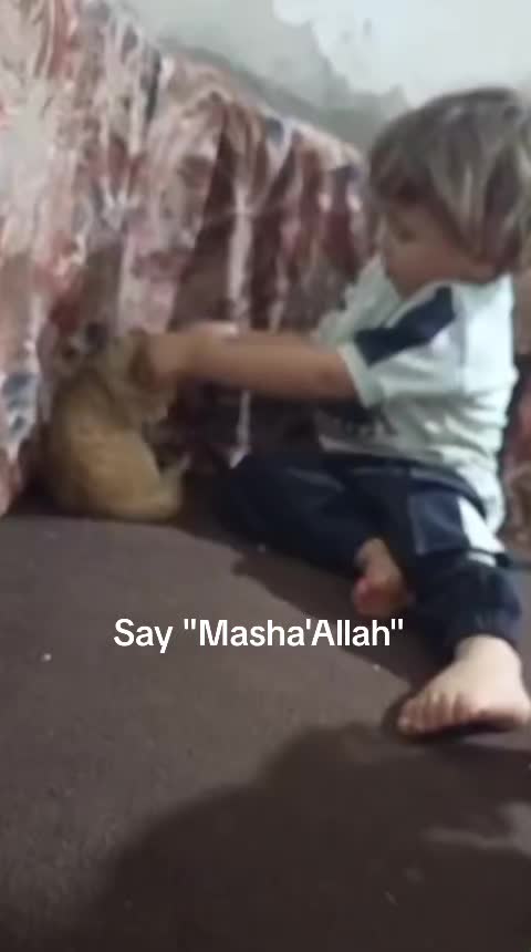 @user89723094516