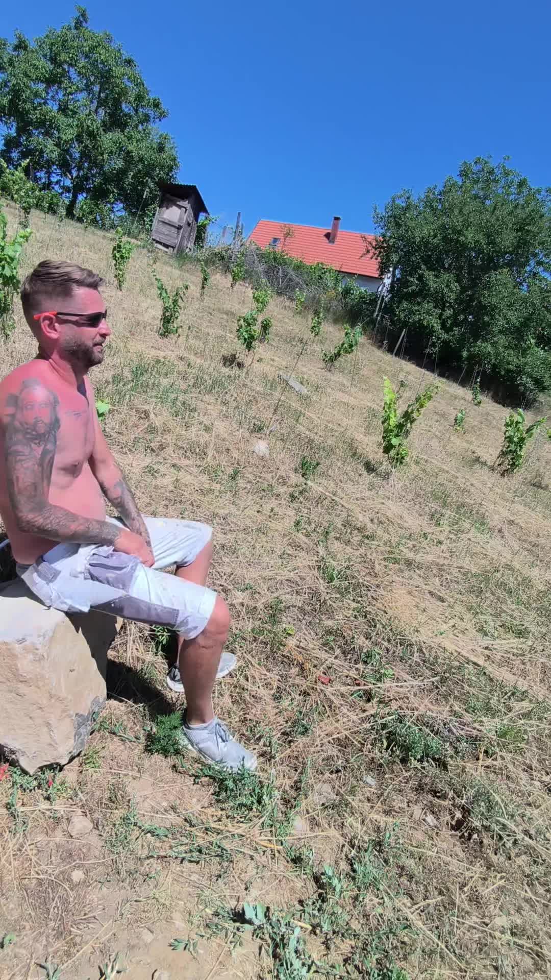 @Kaleta Magyarország Kft.