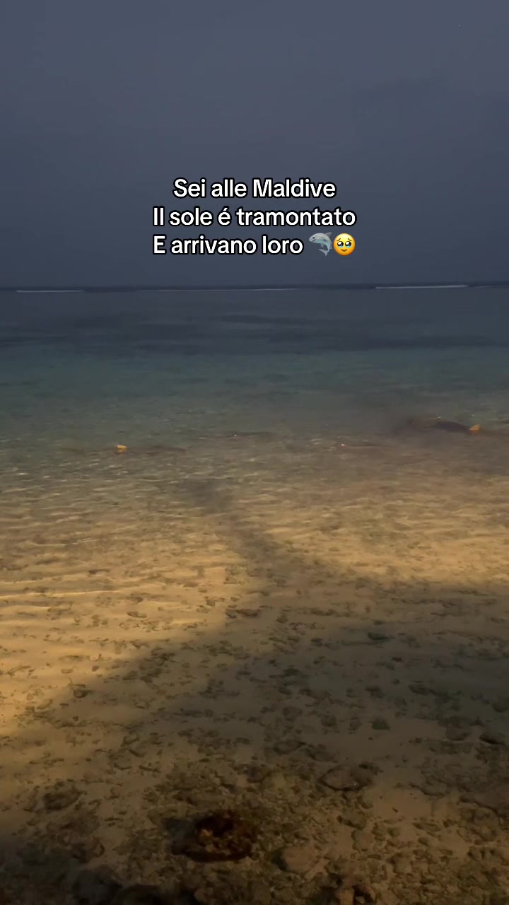 @angelicaloche12