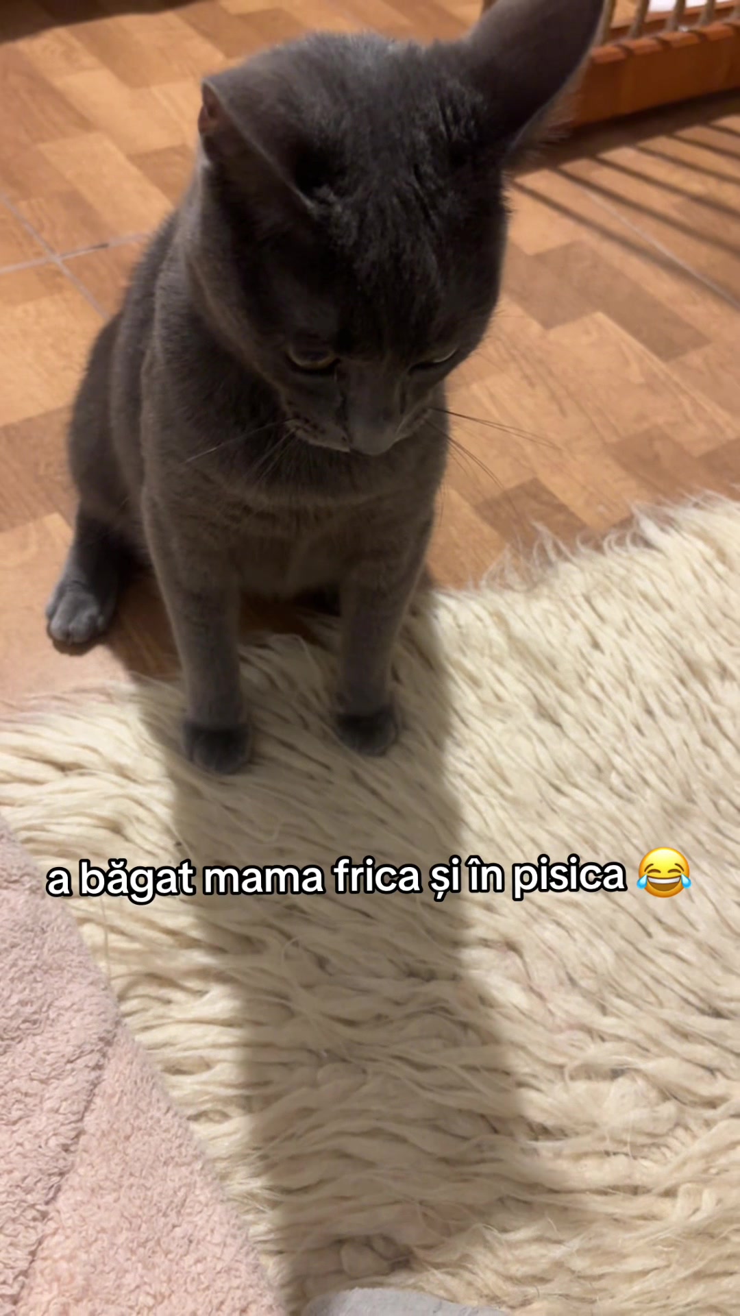 @zeyneppaulaaaa