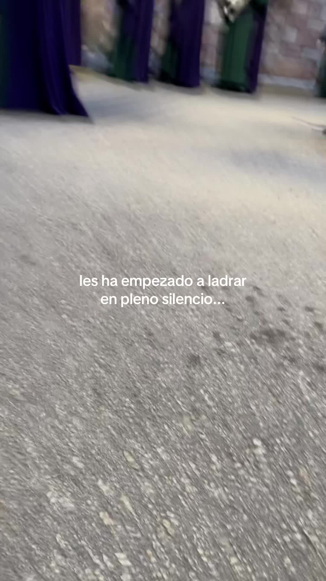 @mariardz