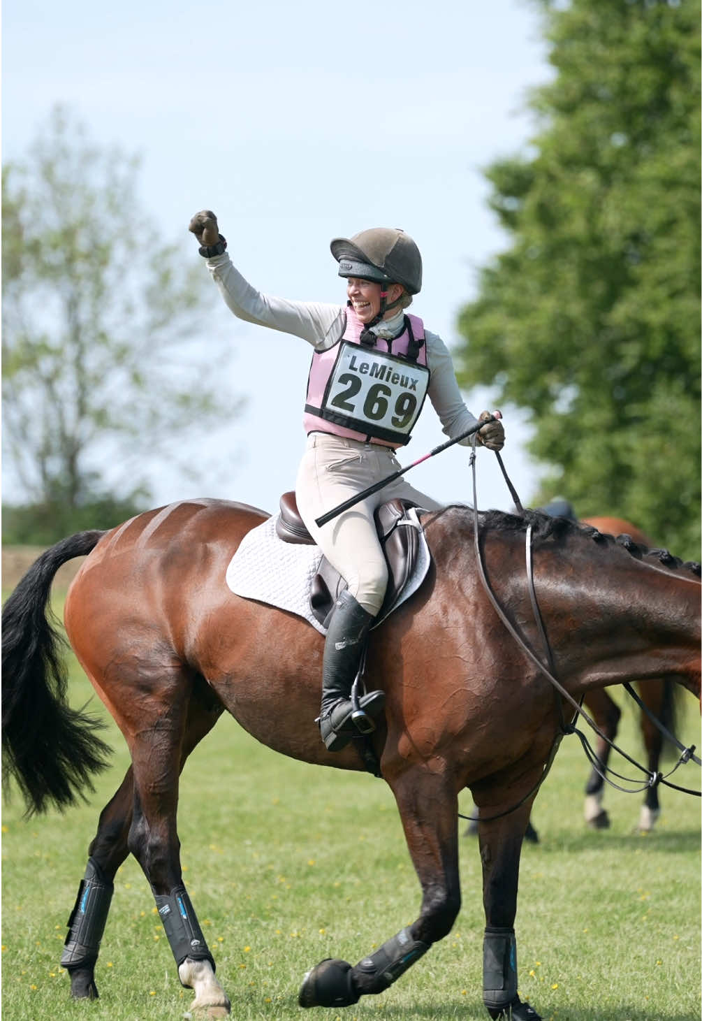 @HorseQuest - Horses for Sale