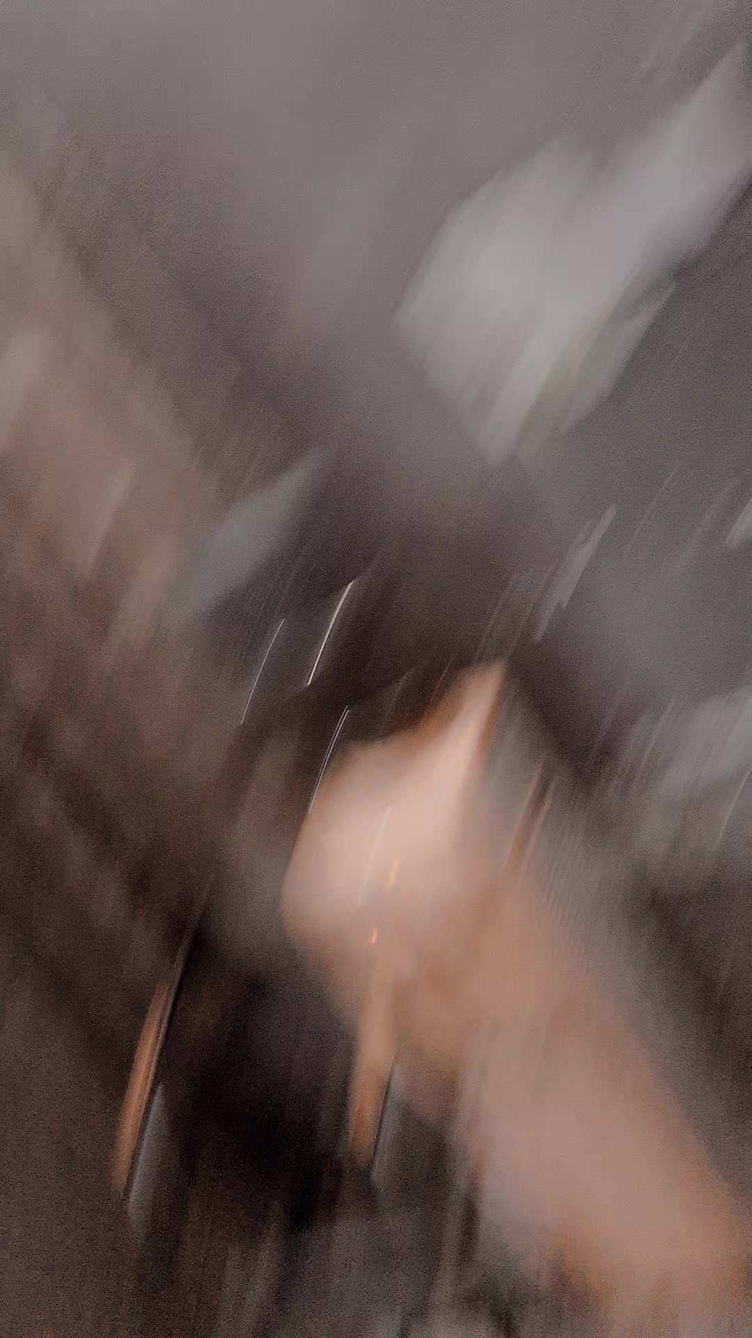 @┈━═☆❣️Ꮐꜞ𝙡𝕝ѕɐɐ𝖇❣️☆═━┈