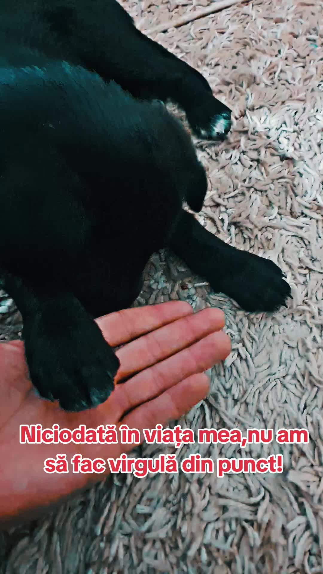 @Kinder11299