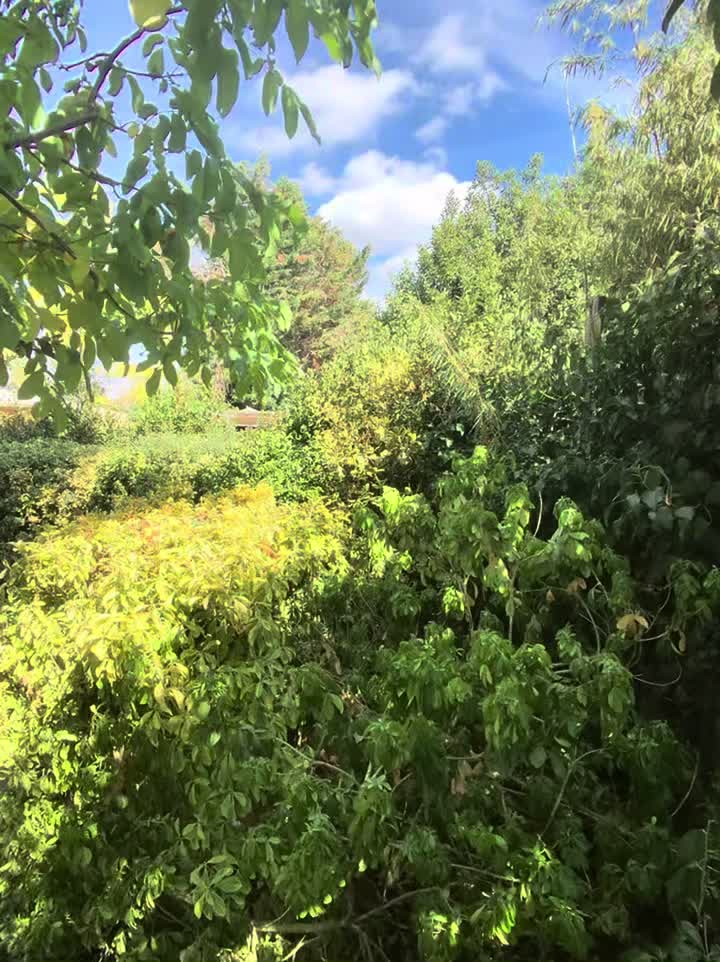 @carterslandscapes
