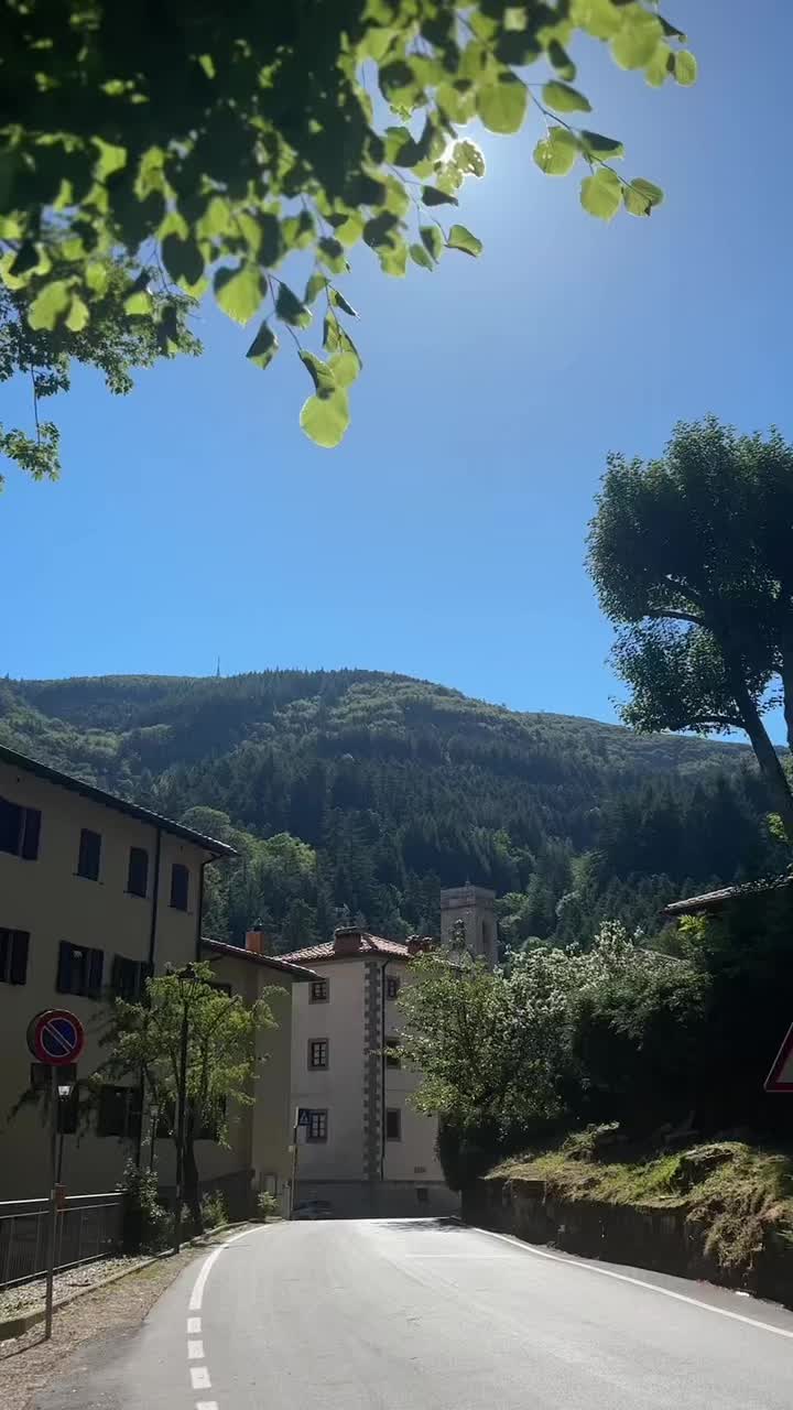 @Flavia Ceccherini