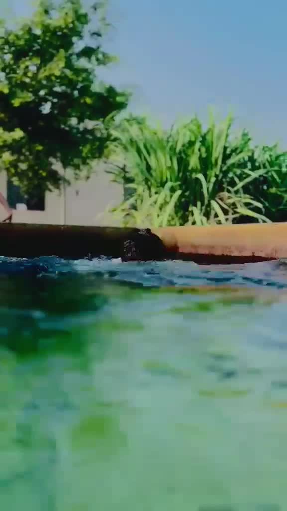 @حسیب بھٹی راجپوت