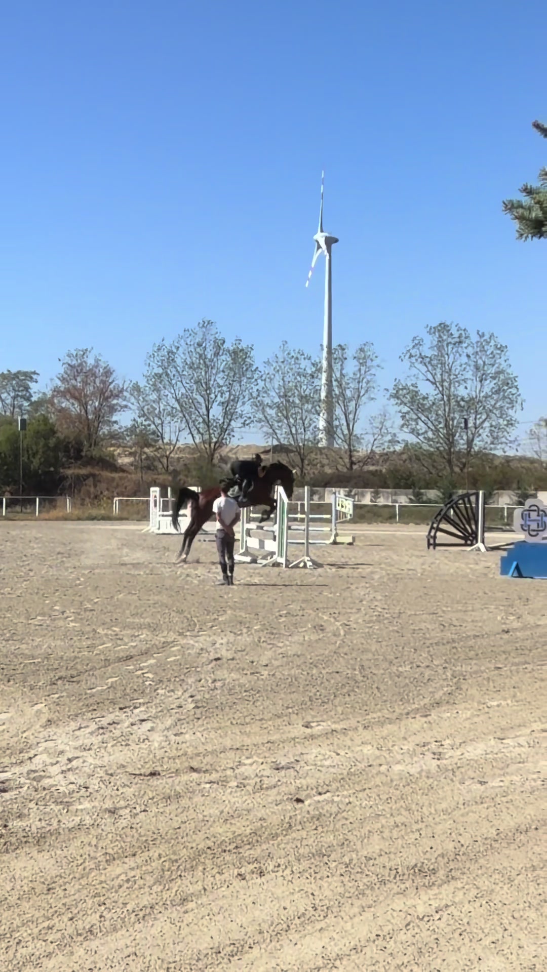 @sophietschi_x_equestrian