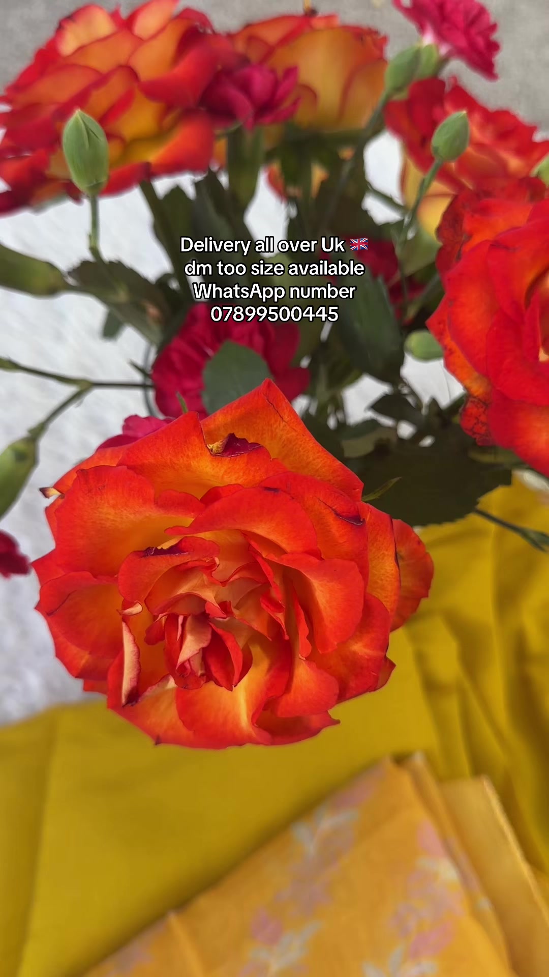 @Aruna-collection-Uk🇬🇧