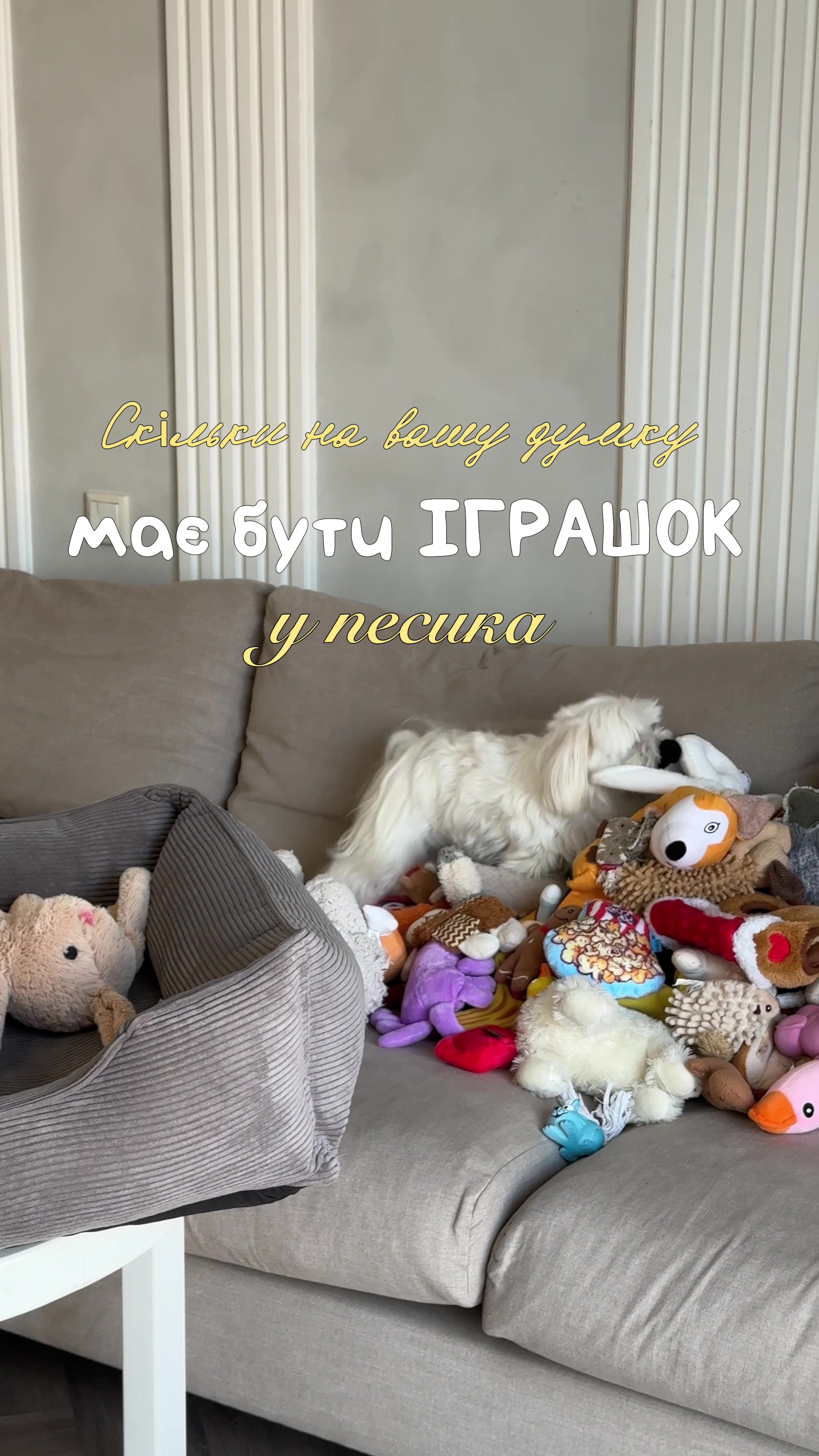 @I'm Eti 🐶🇺🇦