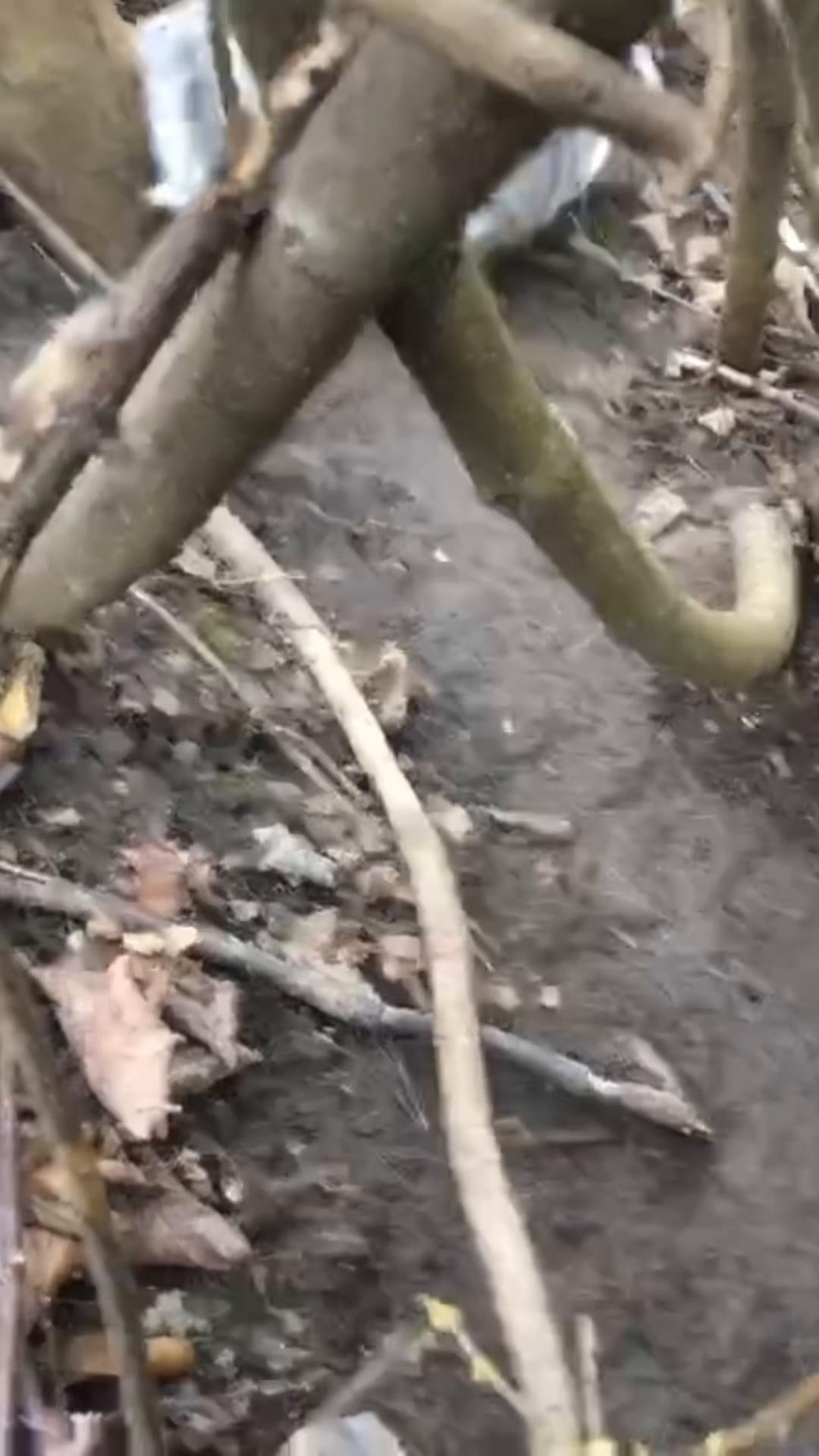 @Dess_Tiny7