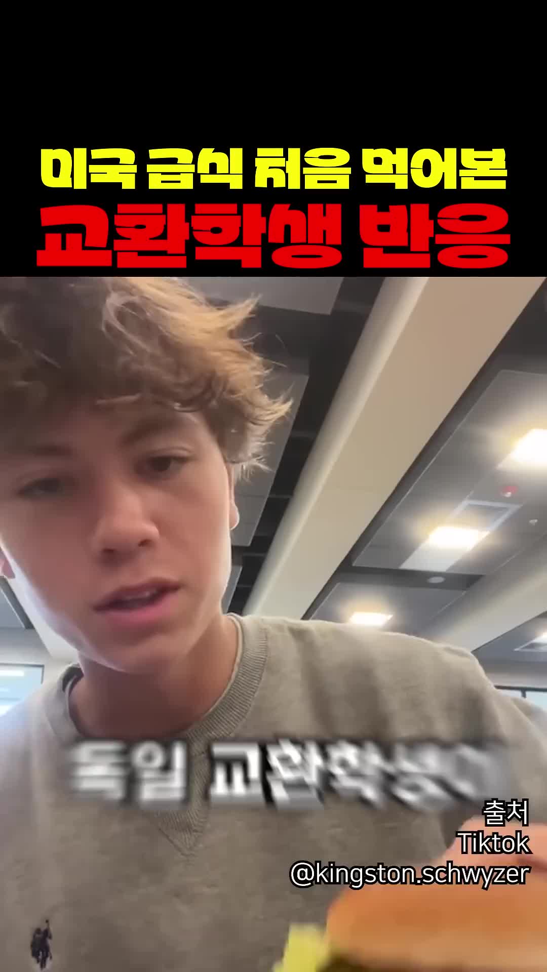 @짱아까미