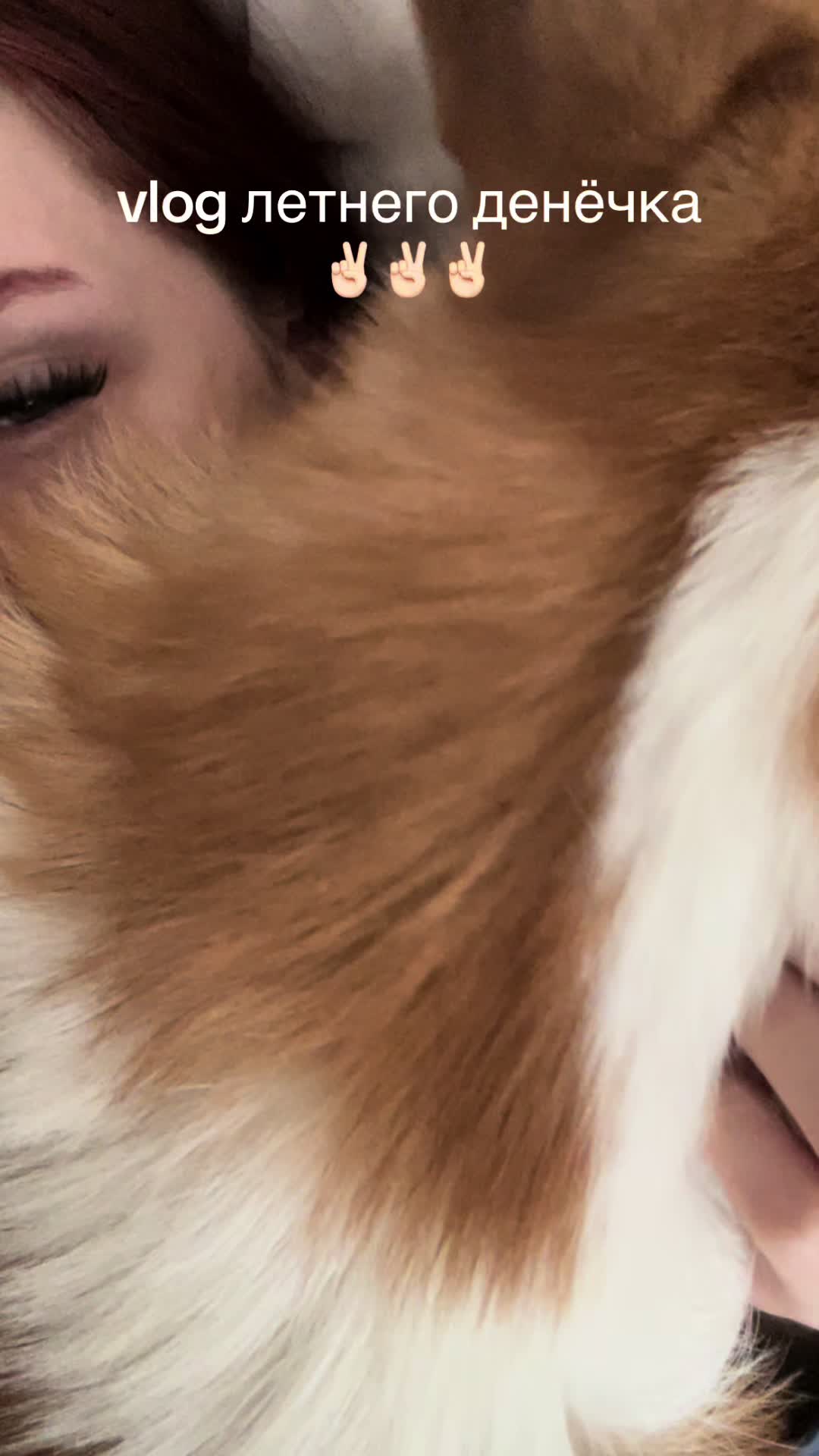 @scallyona