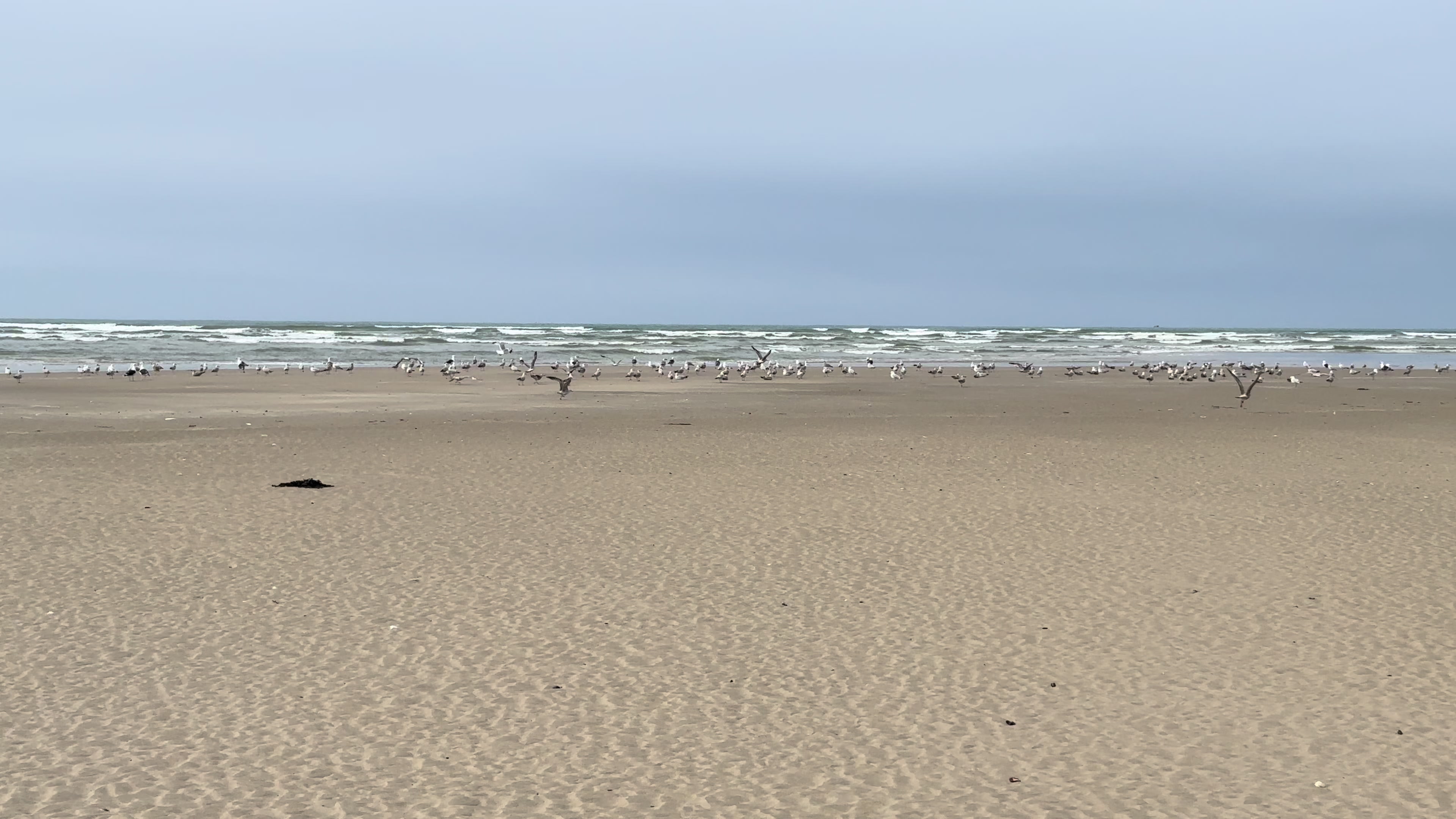 @🍁M&Delta;tieu &Pi; T🇫🇷