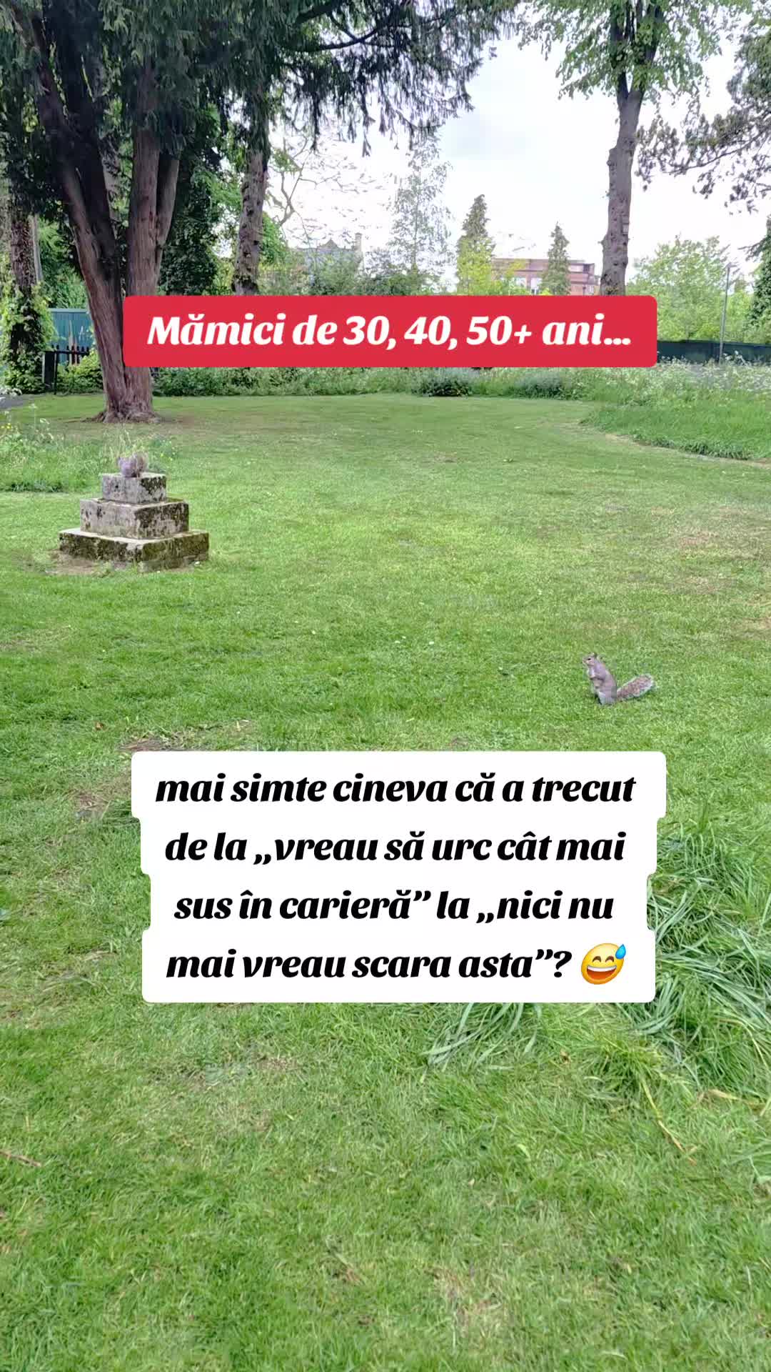 @St&euml;ll@