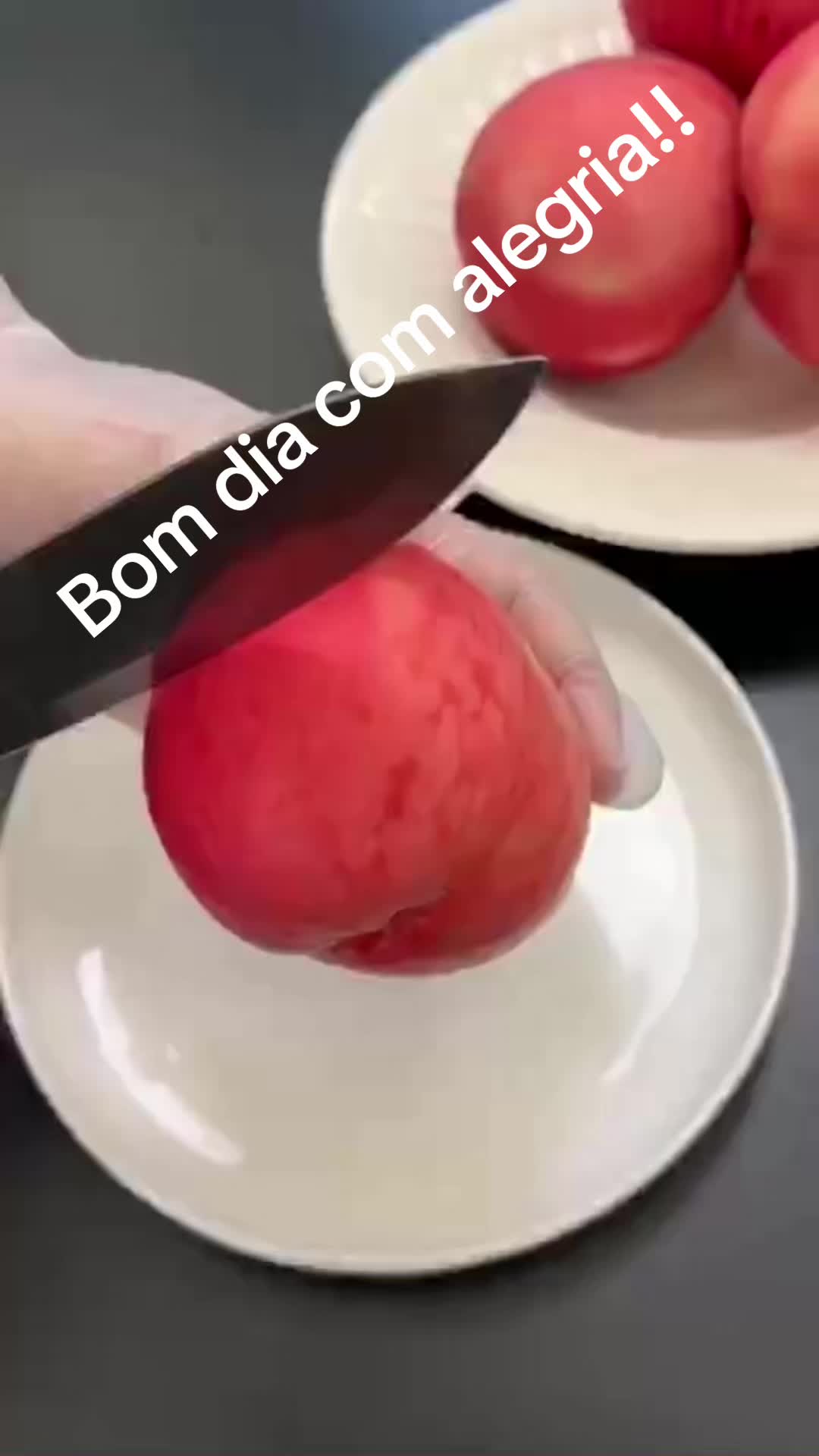 @🇨🇭🇨🇭portuguesa 🇵🇹🇵🇹