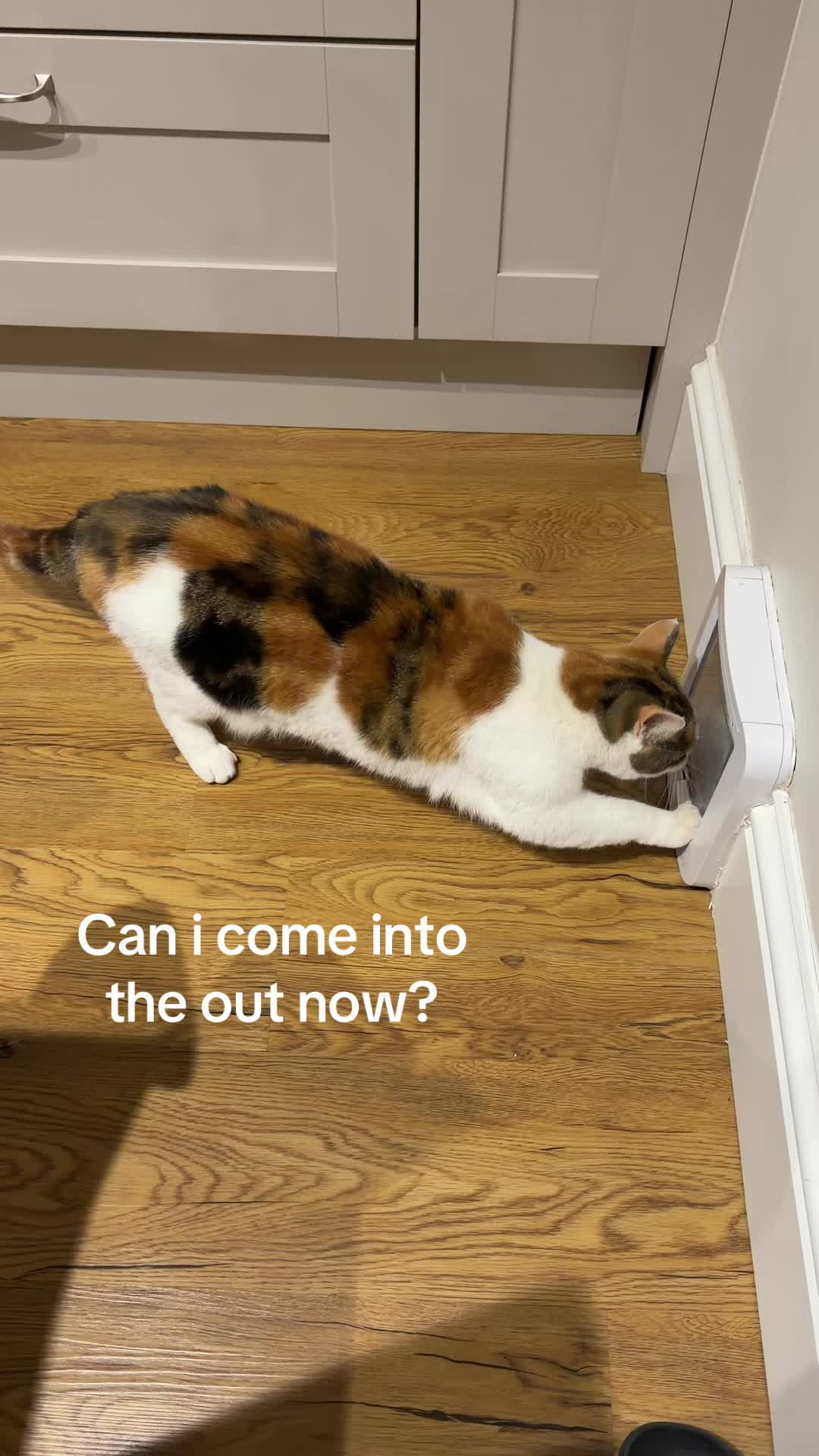 @yeahitskirsty