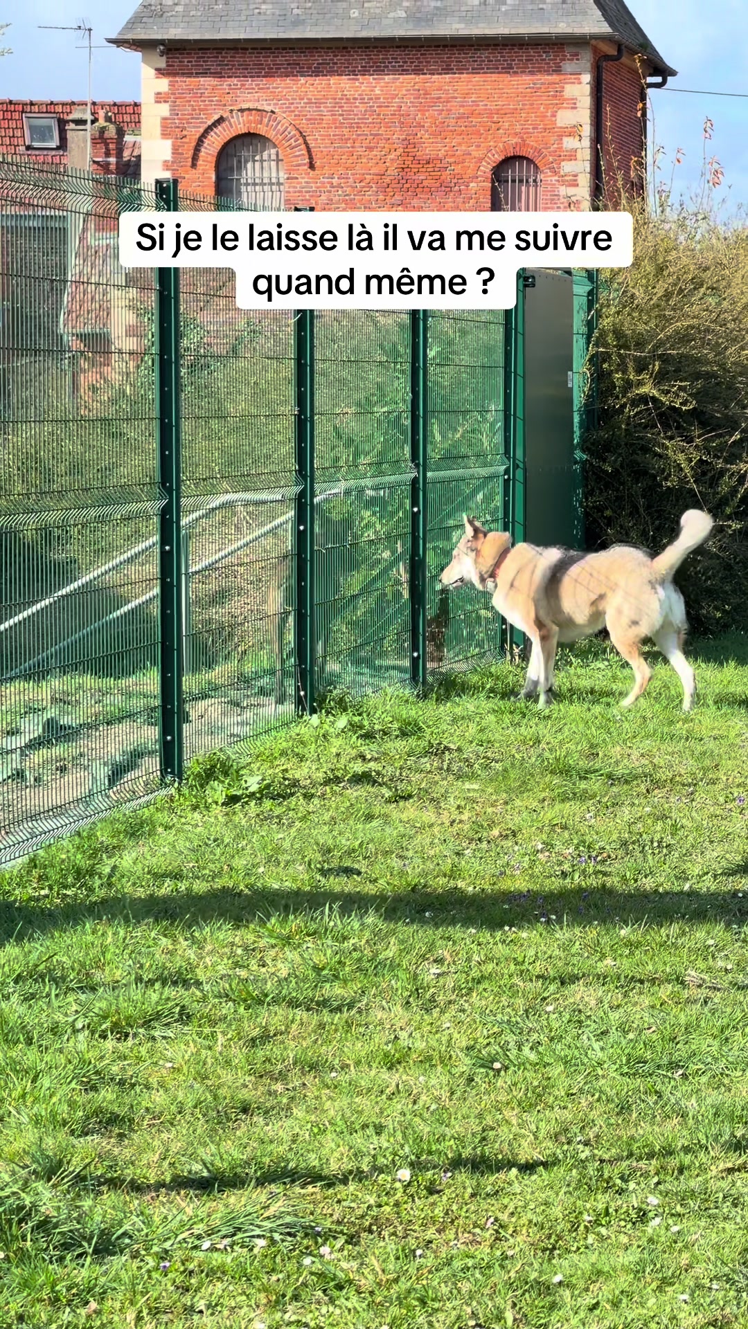 @La meute d’Otone 🐺