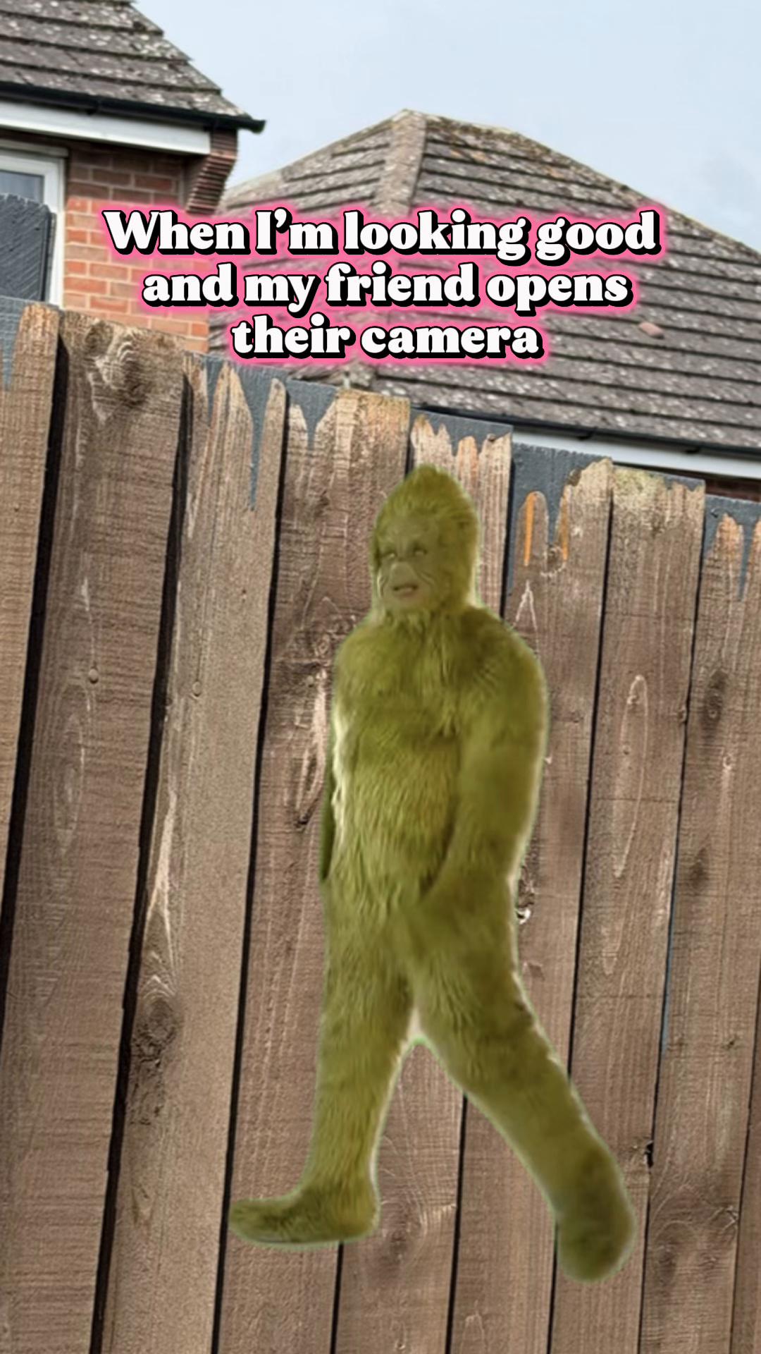 @gemma