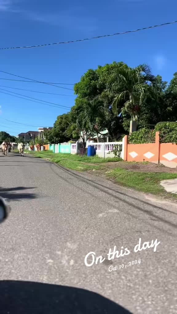 @OneGuchii | DiTravela 🇯🇲