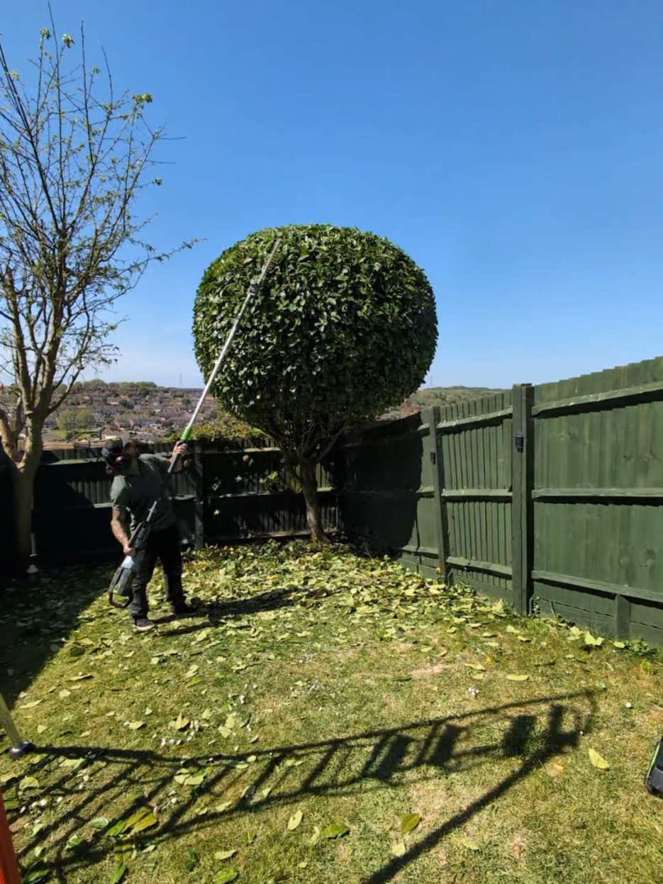 @Gary Hall Garden Services