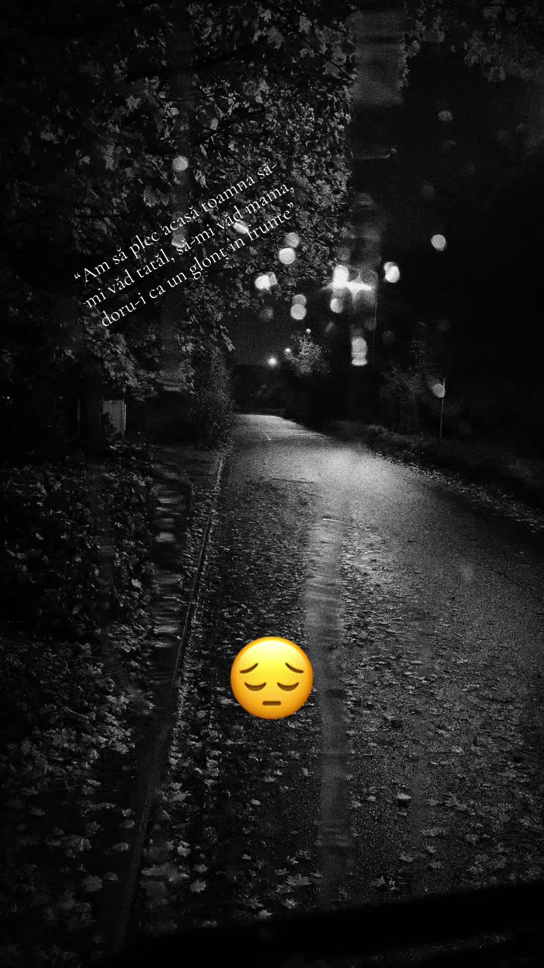 @catalin🦂