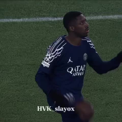 @salyox 🙈🙉