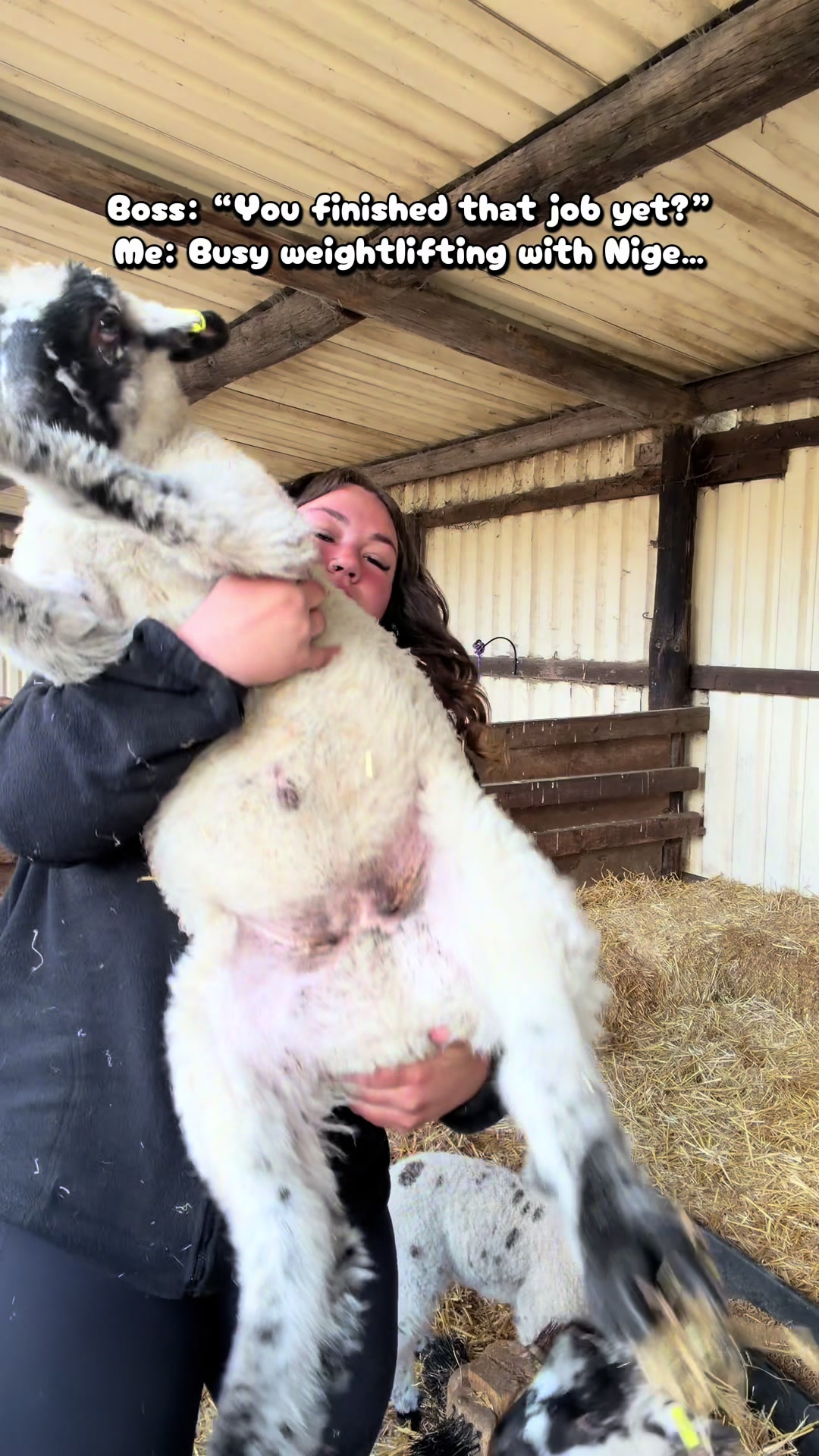 @Amy🐑🚜