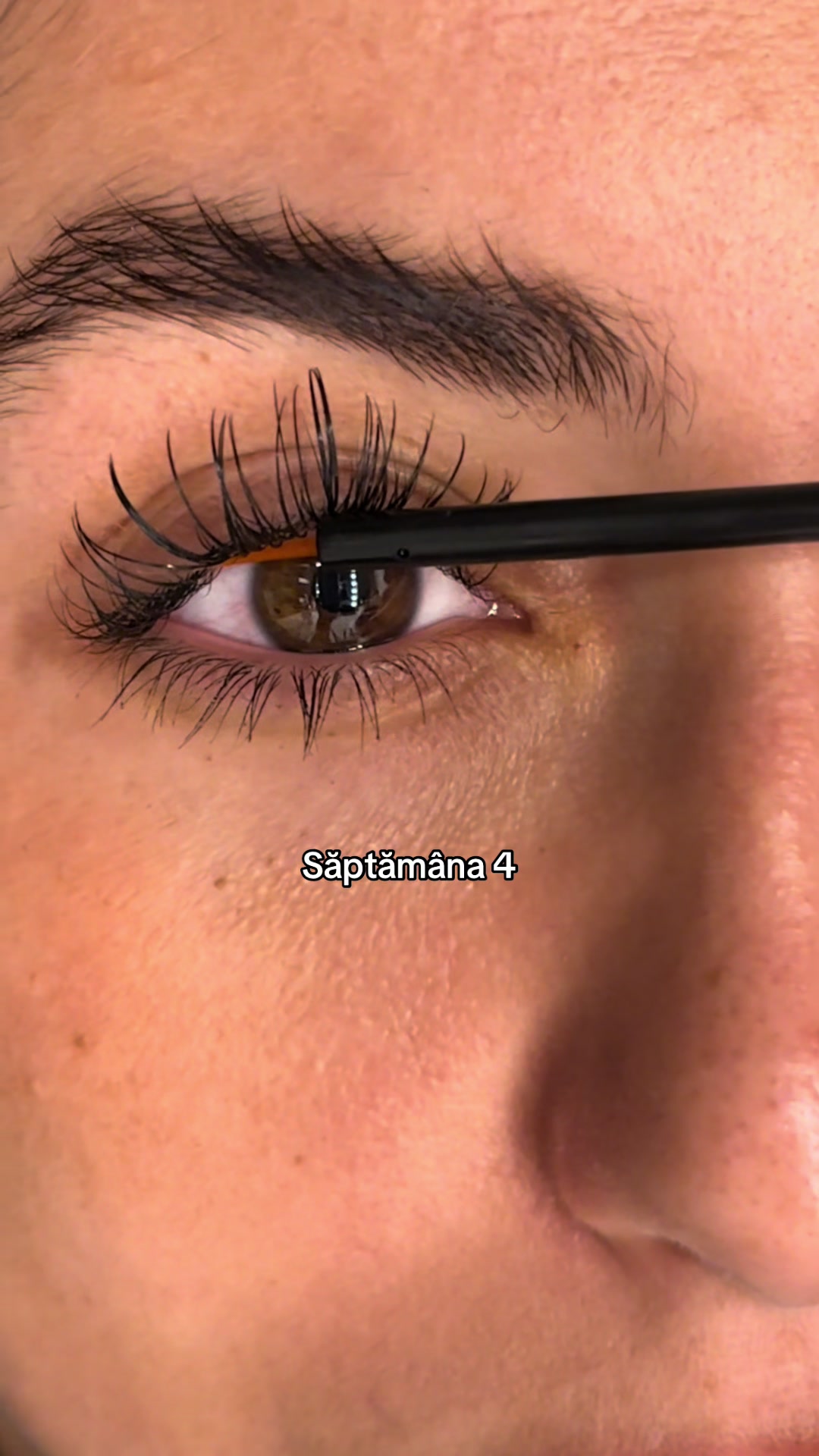 @Lash By Maya Romania Official
