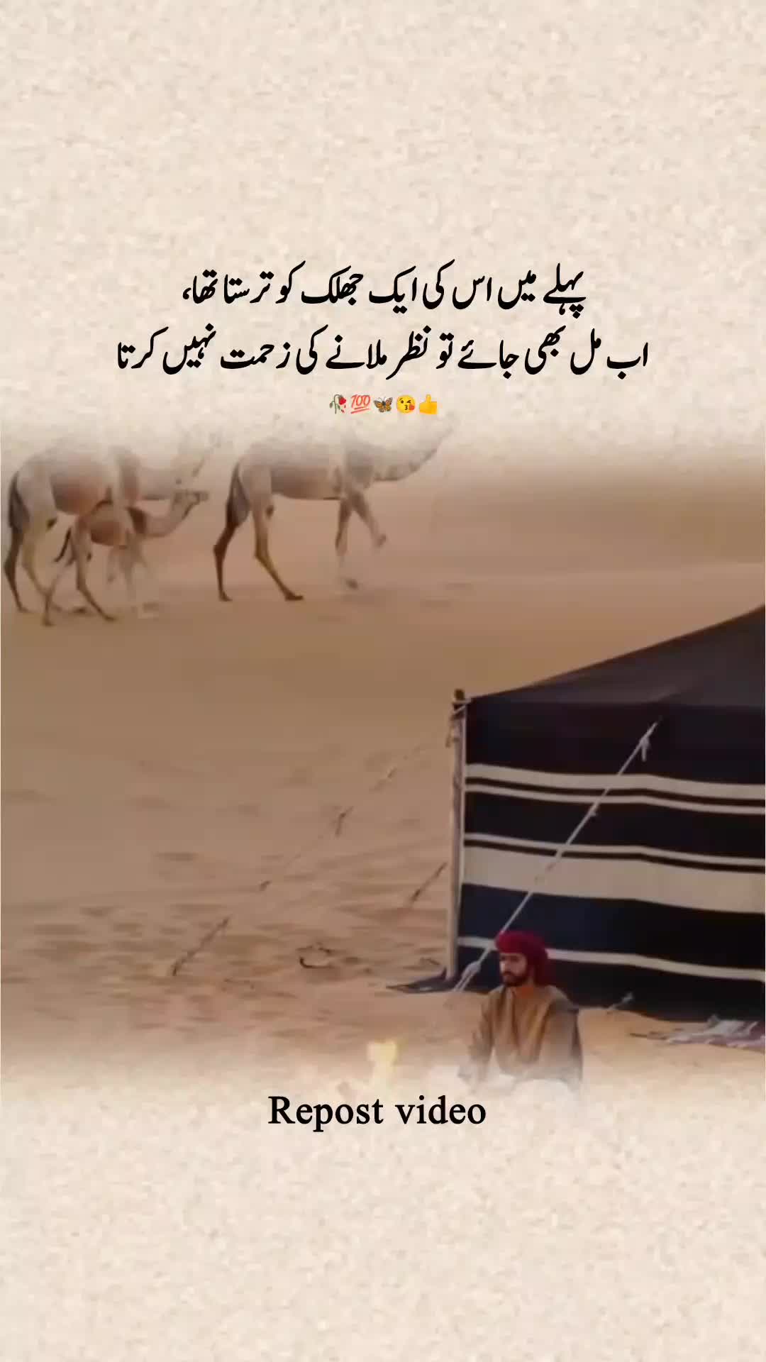 @𝑨𝒍𝒇𝒂𝒛_𝑬_𝑫𝒂𝒓𝒅😭