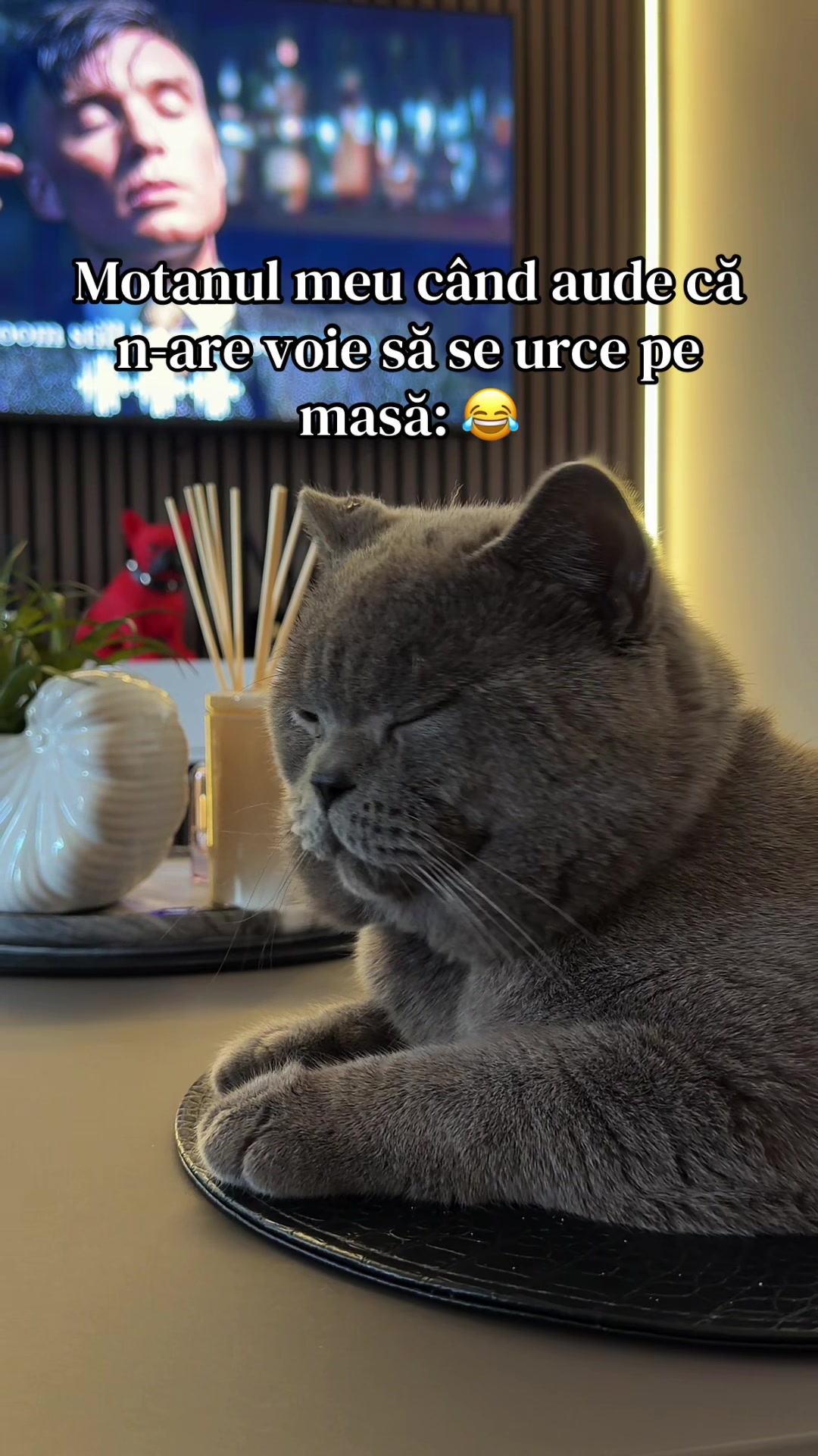 @Onofraș 🦂
