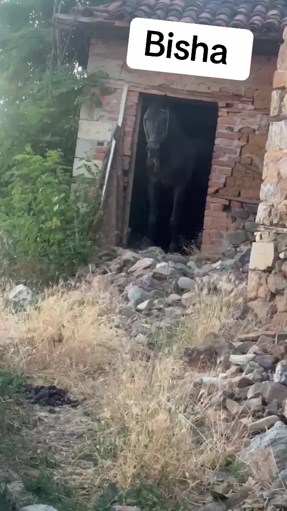 @Ferma _vellezrit _la&ccedil;i_ diber