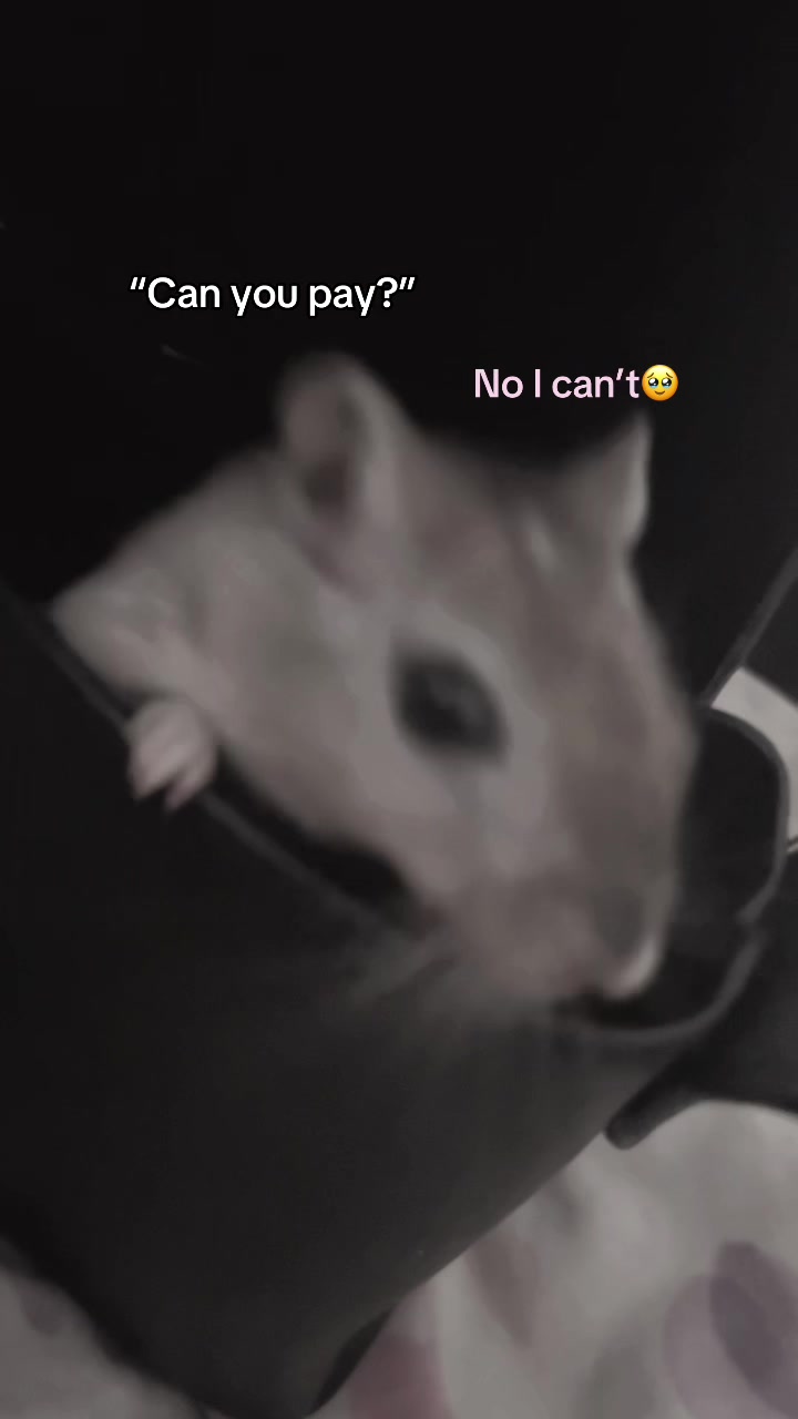 @๐๐๐ข๐๐ข๐๐๐ธ๐งโ๏ธ