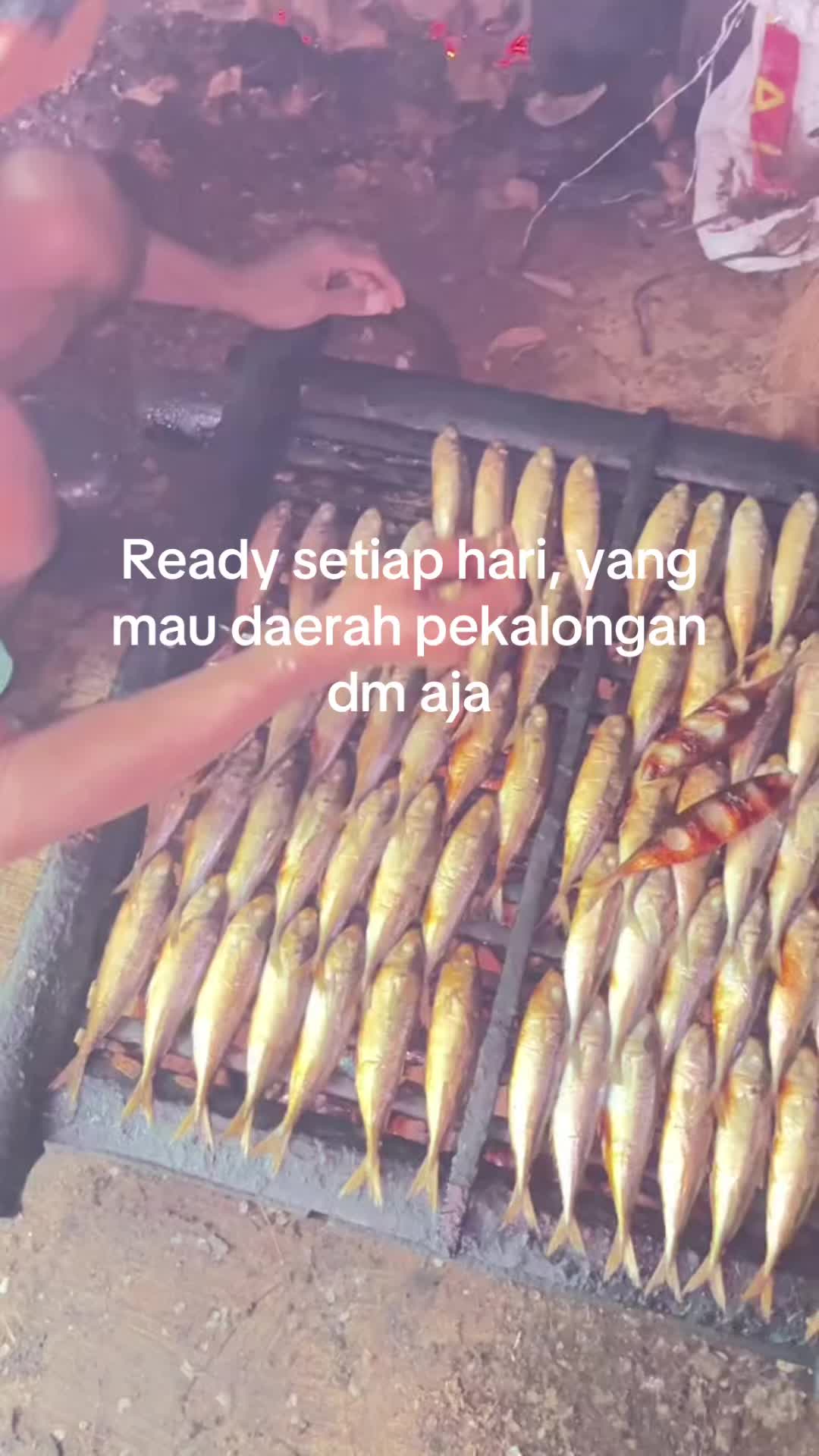@Um. ikan