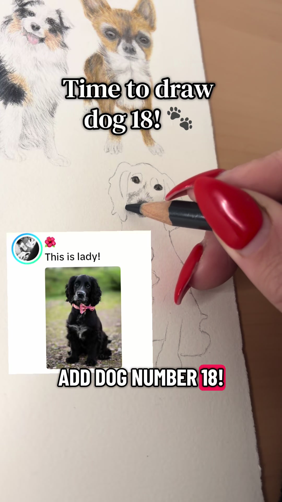 @Ysabel Illustrates