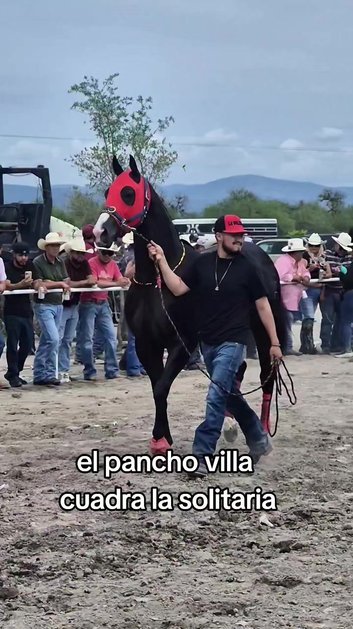 @carriles altos de jalisco🐎