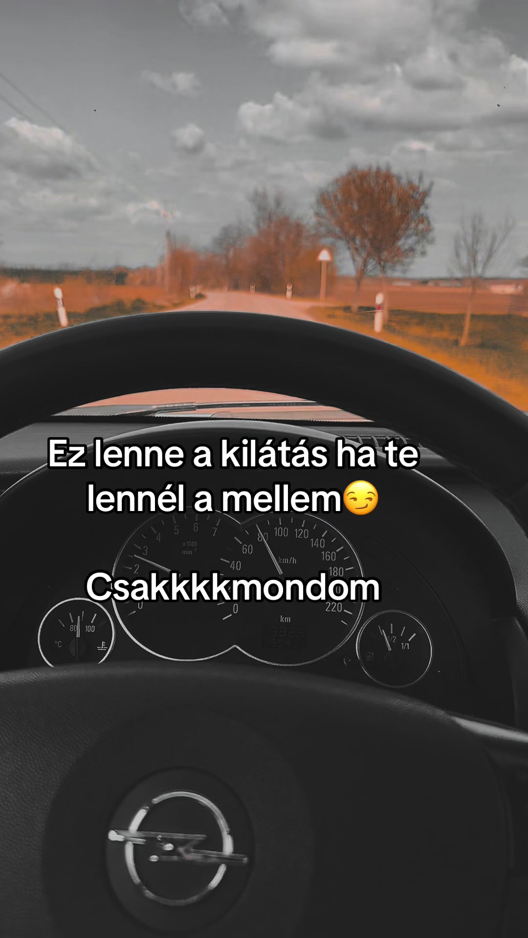 @Anett Csonka