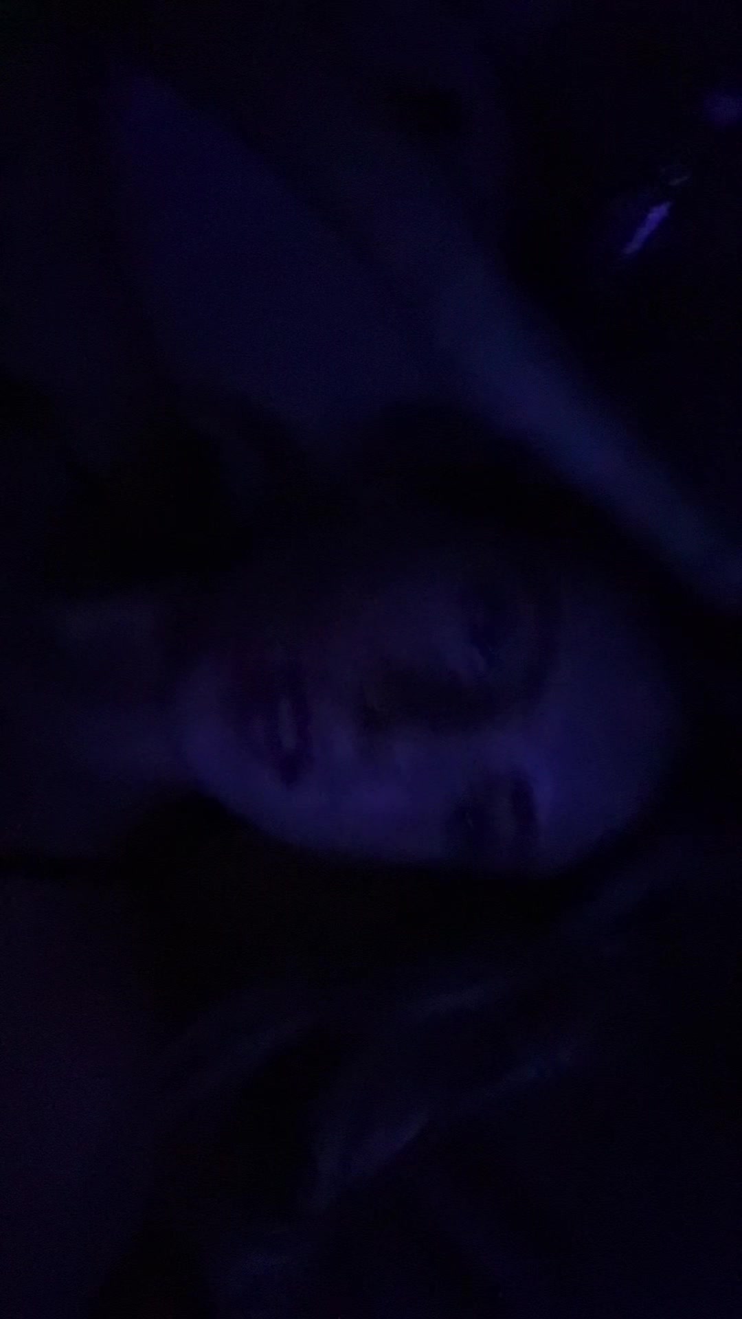 @ao&iacute;fespamz