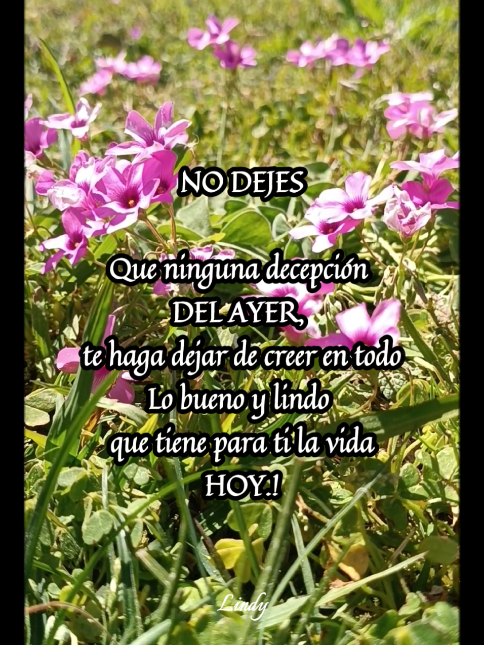 @Espacio para la calma
