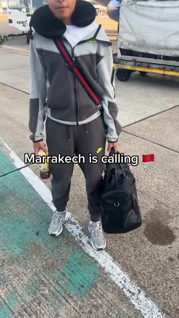 @🦈