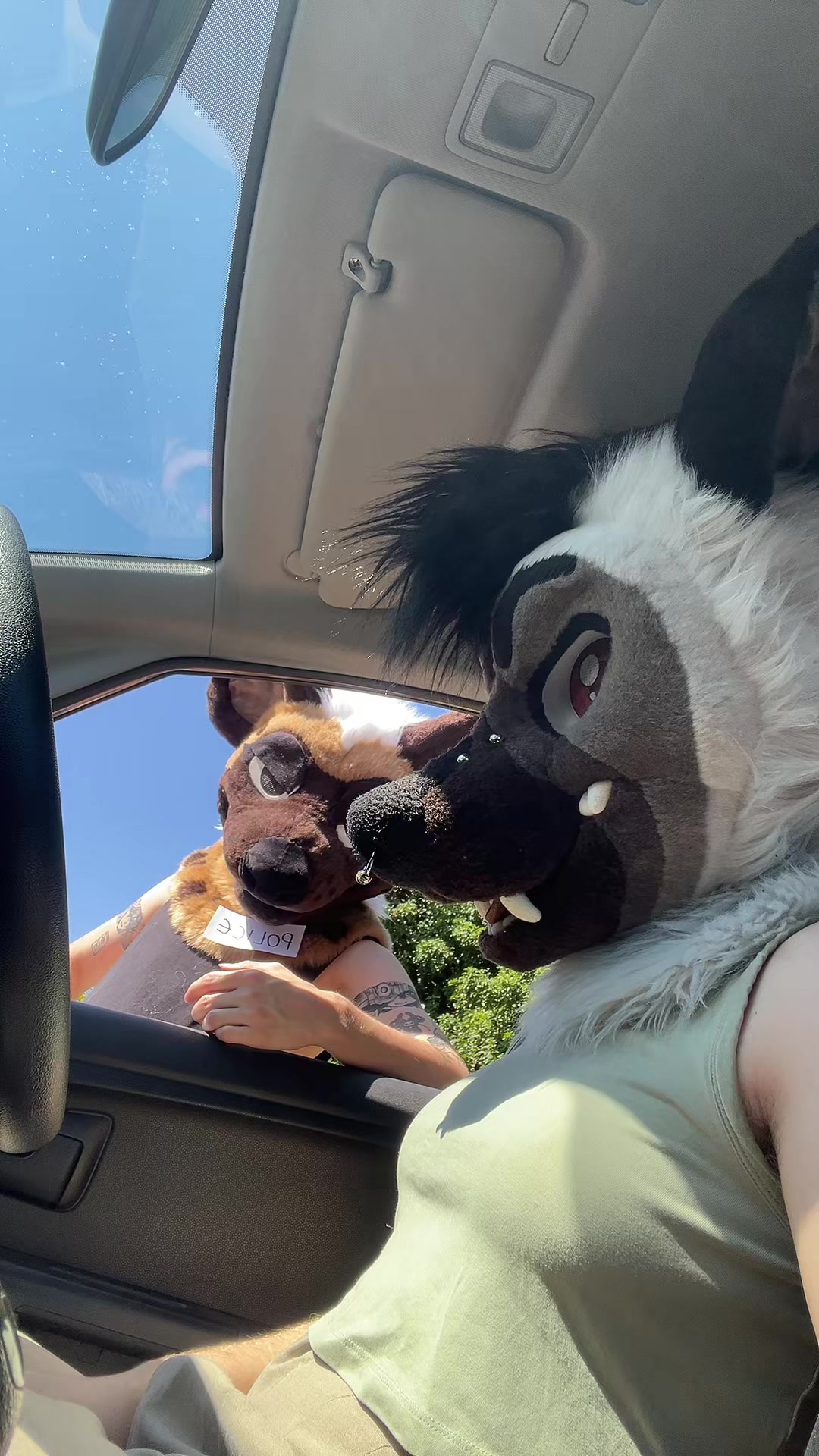 @🥦 Sam 🥦